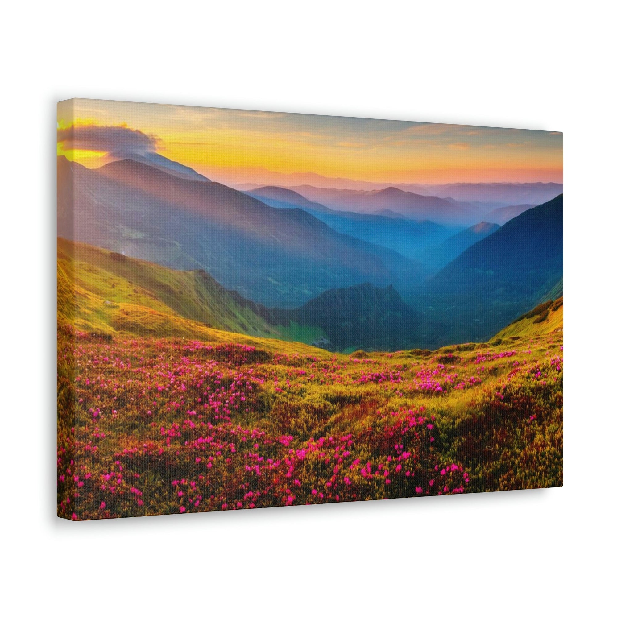 Attractive Summer Sunset at the Hill Scene Beautiful Impressive and Stunning Flowers Beauty Nature Scene Pink Flowers and Mountains Wall Art Ready to Hang Unframed-Express Your Love Gifts