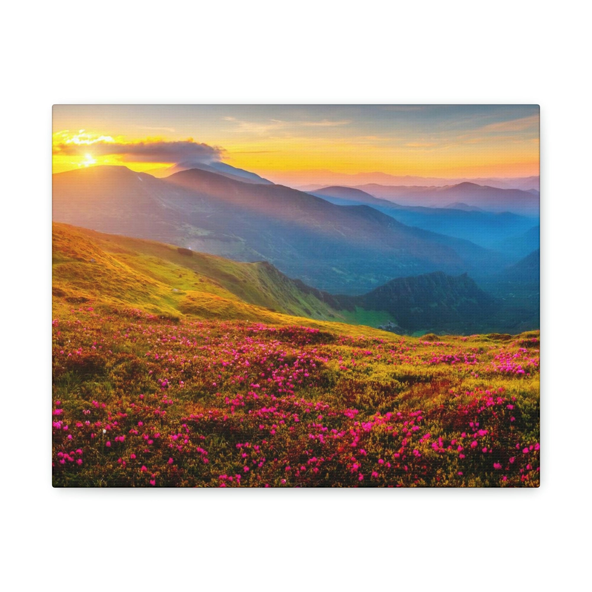 Attractive Summer Sunset at the Hill Scene Beautiful Impressive and Stunning Flowers Beauty Nature Scene Pink Flowers and Mountains Wall Art Ready to Hang Unframed-Express Your Love Gifts