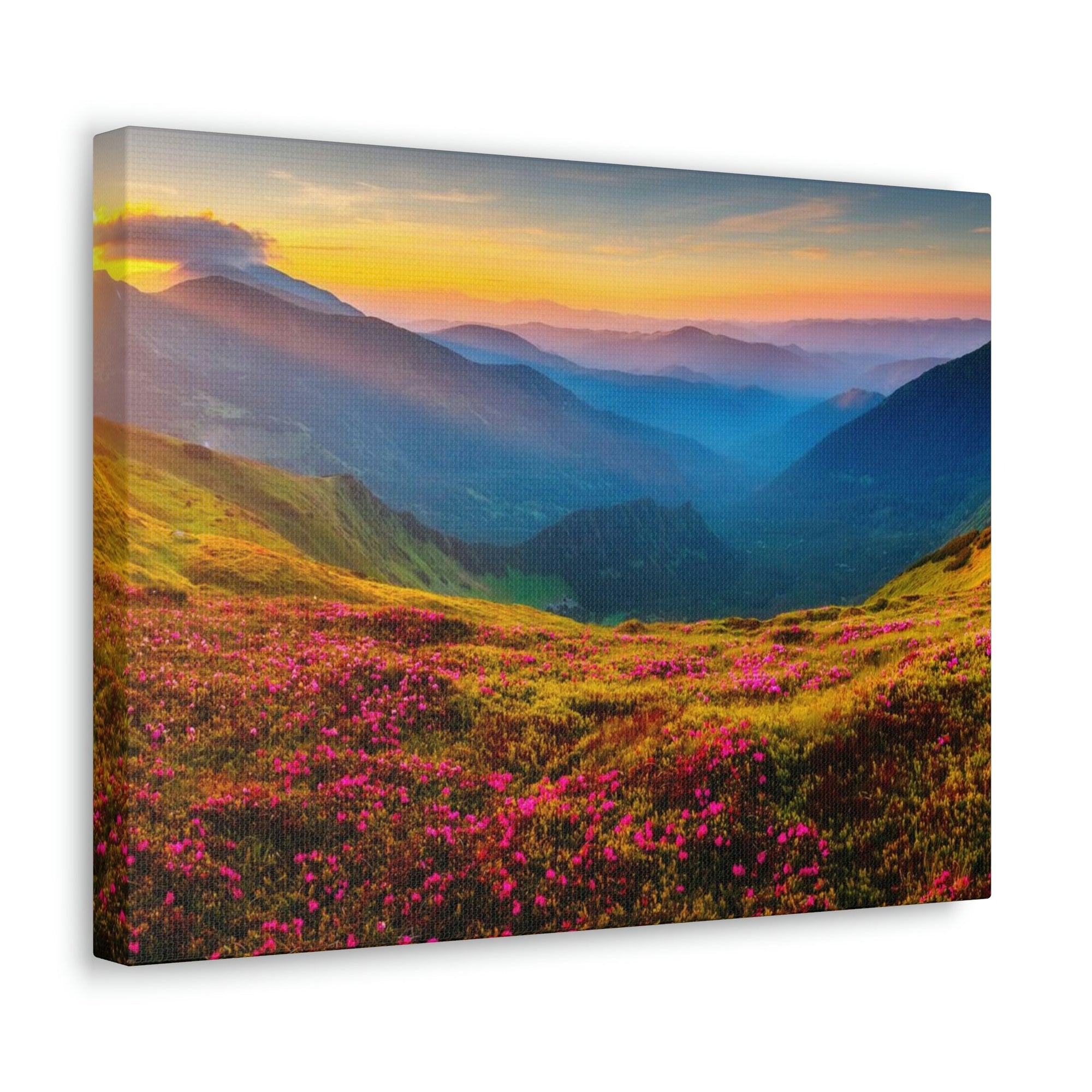 Attractive Summer Sunset at the Hill Scene Beautiful Impressive and Stunning Flowers Beauty Nature Scene Pink Flowers and Mountains Wall Art Ready to Hang Unframed-Express Your Love Gifts