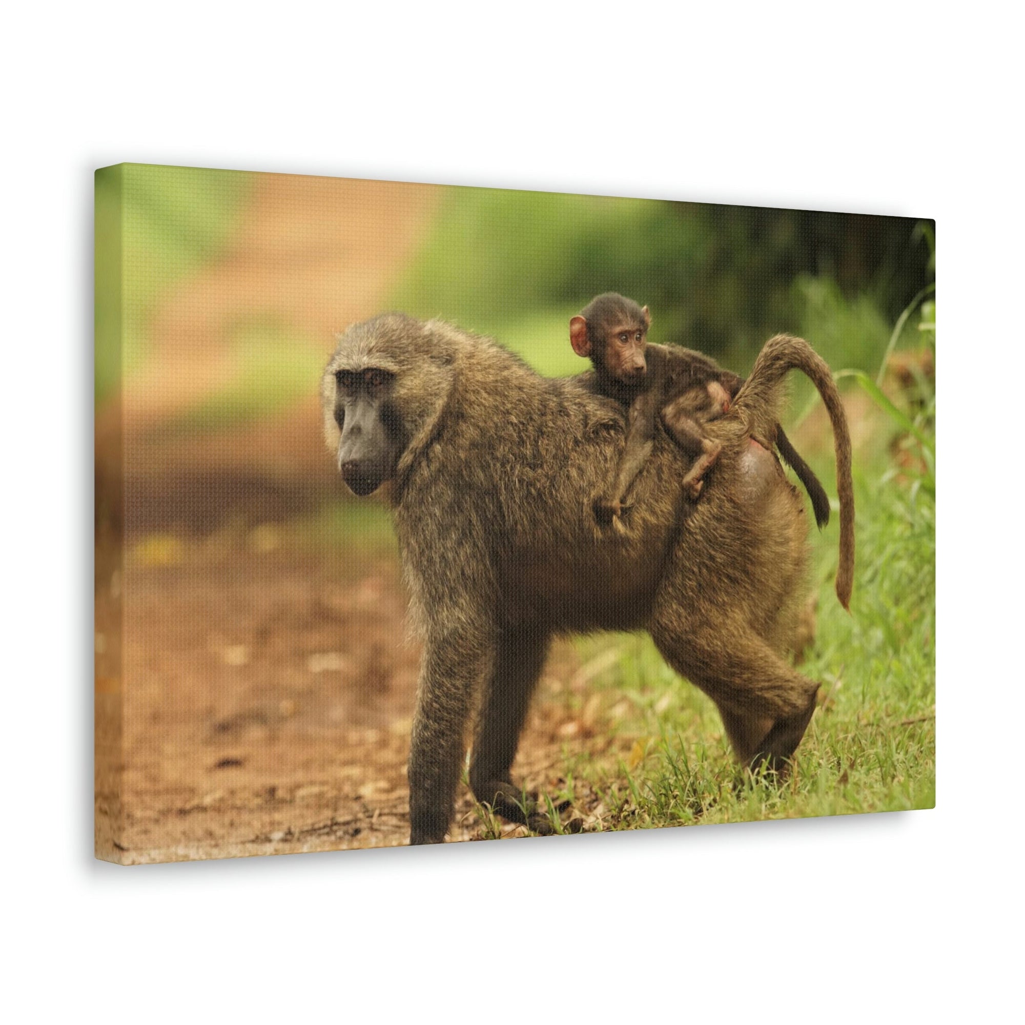 Scripture Walls Baboon Hunting Baboon on Hunt Print Animal Wall Art Wildlife Canvas Prints Wall Art Ready to Hang Unframed-Express Your Love Gifts