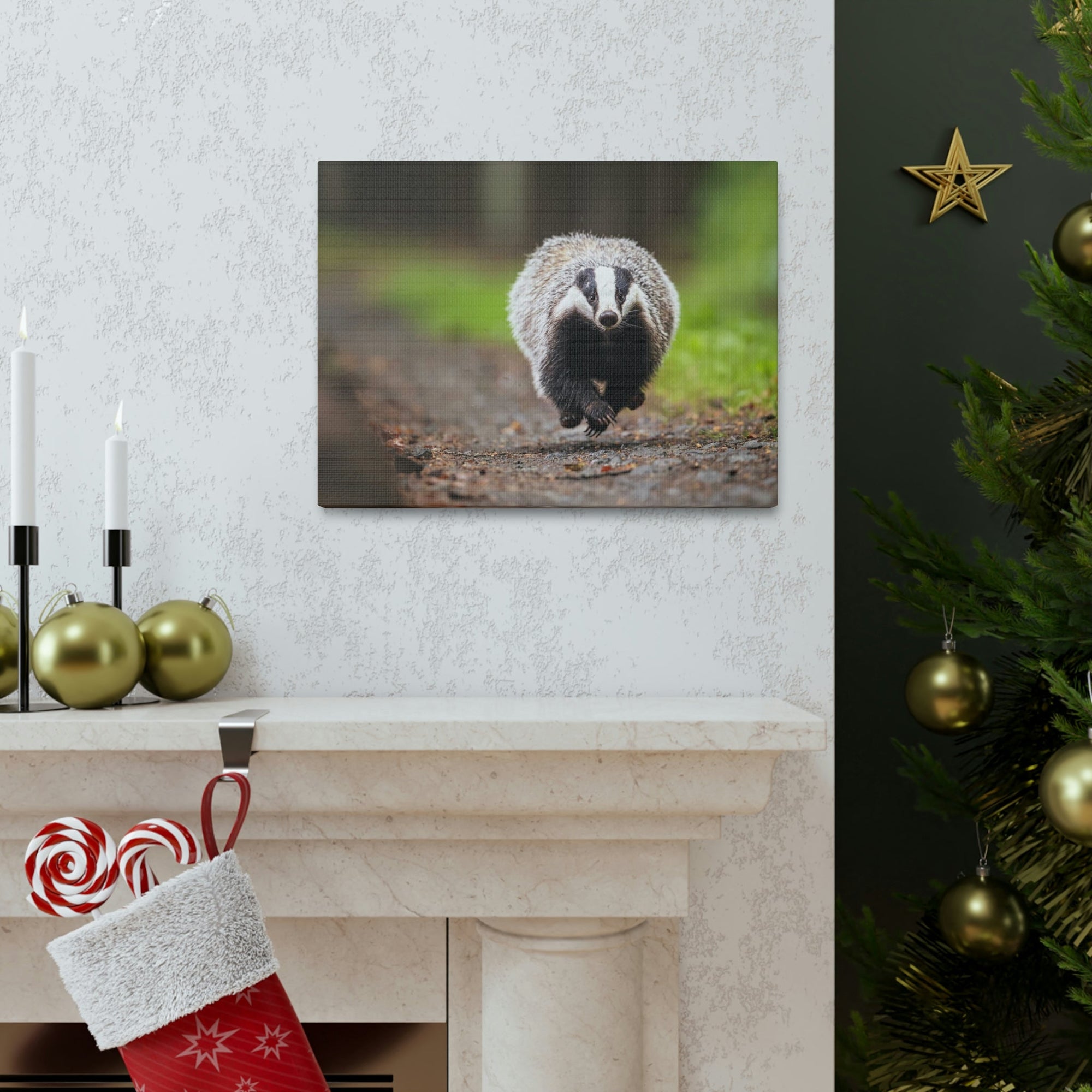 Scripture Walls Badger Hunting Badger on Hunt Print Animal Wall Art Wildlife Canvas Prints Wall Art Ready to Hang Unframed-Express Your Love Gifts