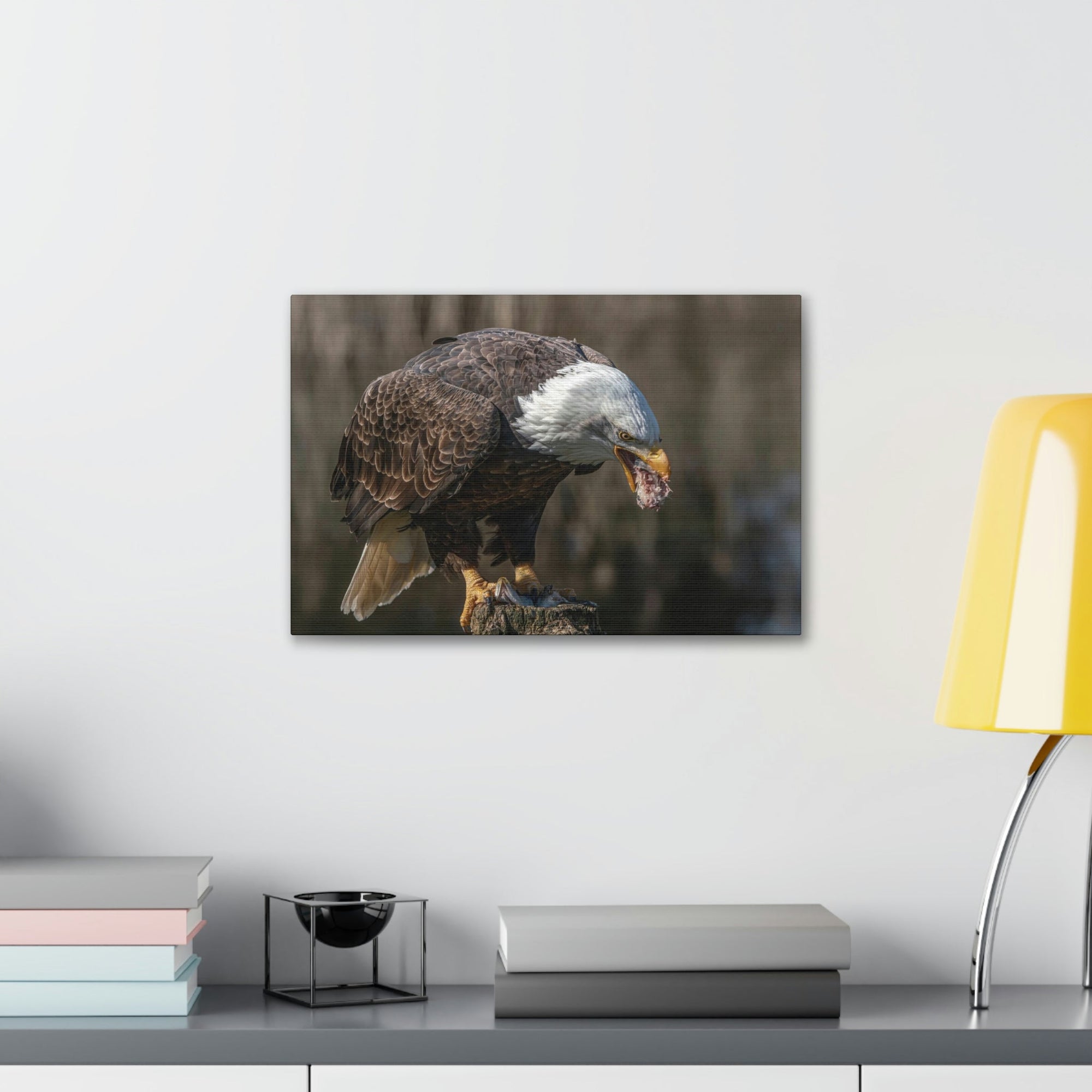 Scripture Walls Bald Eagle Hunting Bald Eagle on Hunt Print Animal Wall Art Wildlife Canvas Prints Wall Art Ready to Hang Unframed-Express Your Love Gifts