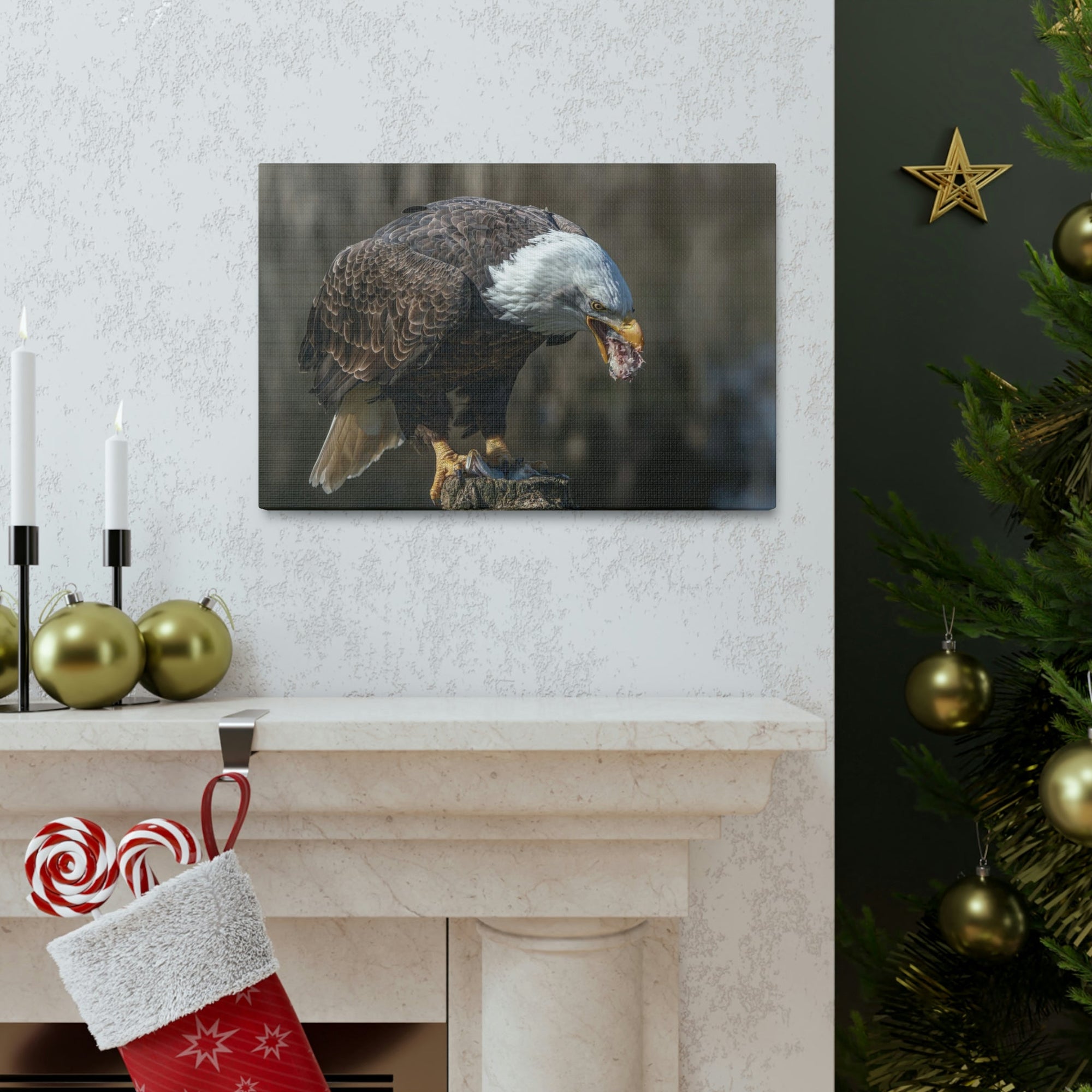 Scripture Walls Bald Eagle Hunting Bald Eagle on Hunt Print Animal Wall Art Wildlife Canvas Prints Wall Art Ready to Hang Unframed-Express Your Love Gifts