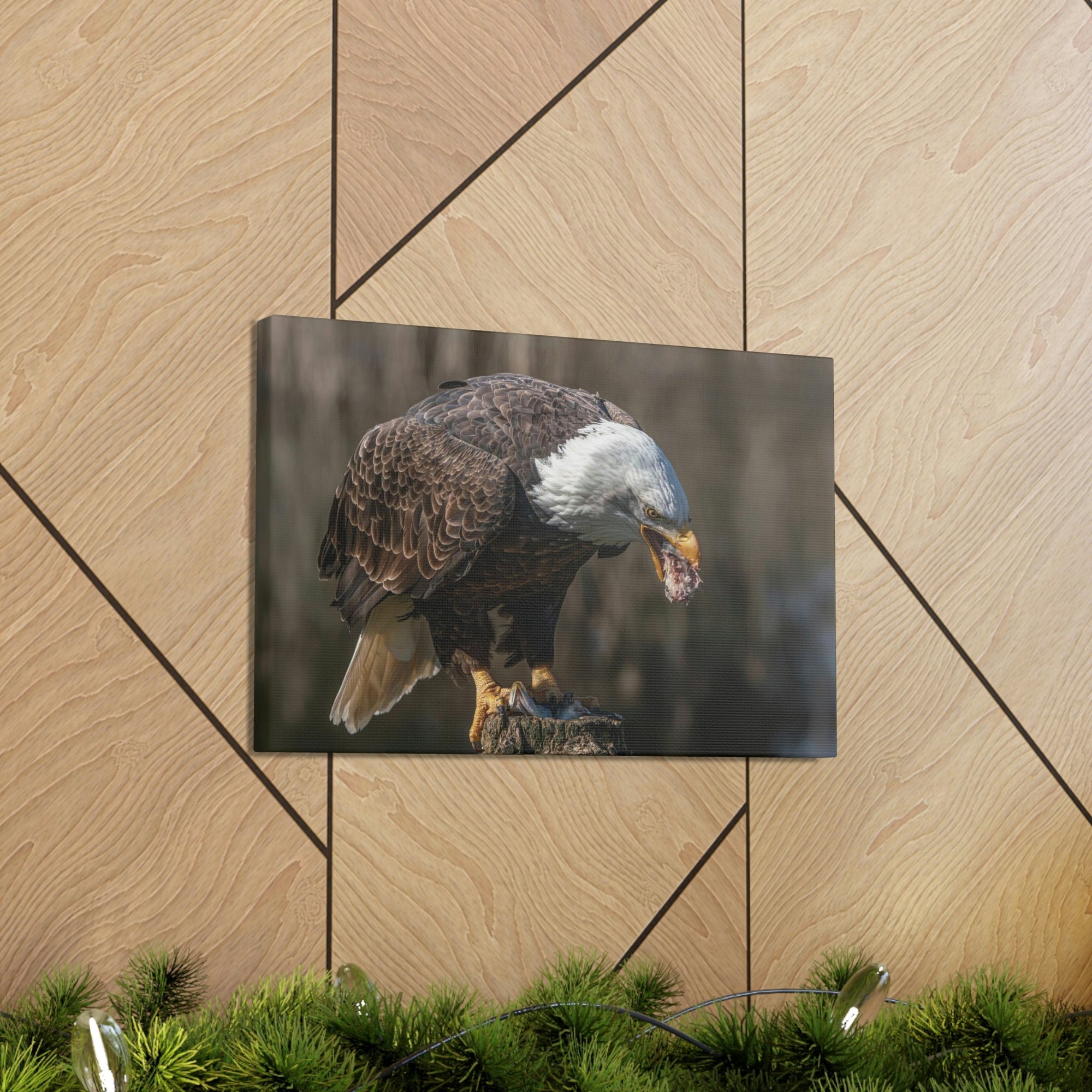 Scripture Walls Bald Eagle Hunting Bald Eagle on Hunt Print Animal Wall Art Wildlife Canvas Prints Wall Art Ready to Hang Unframed-Express Your Love Gifts