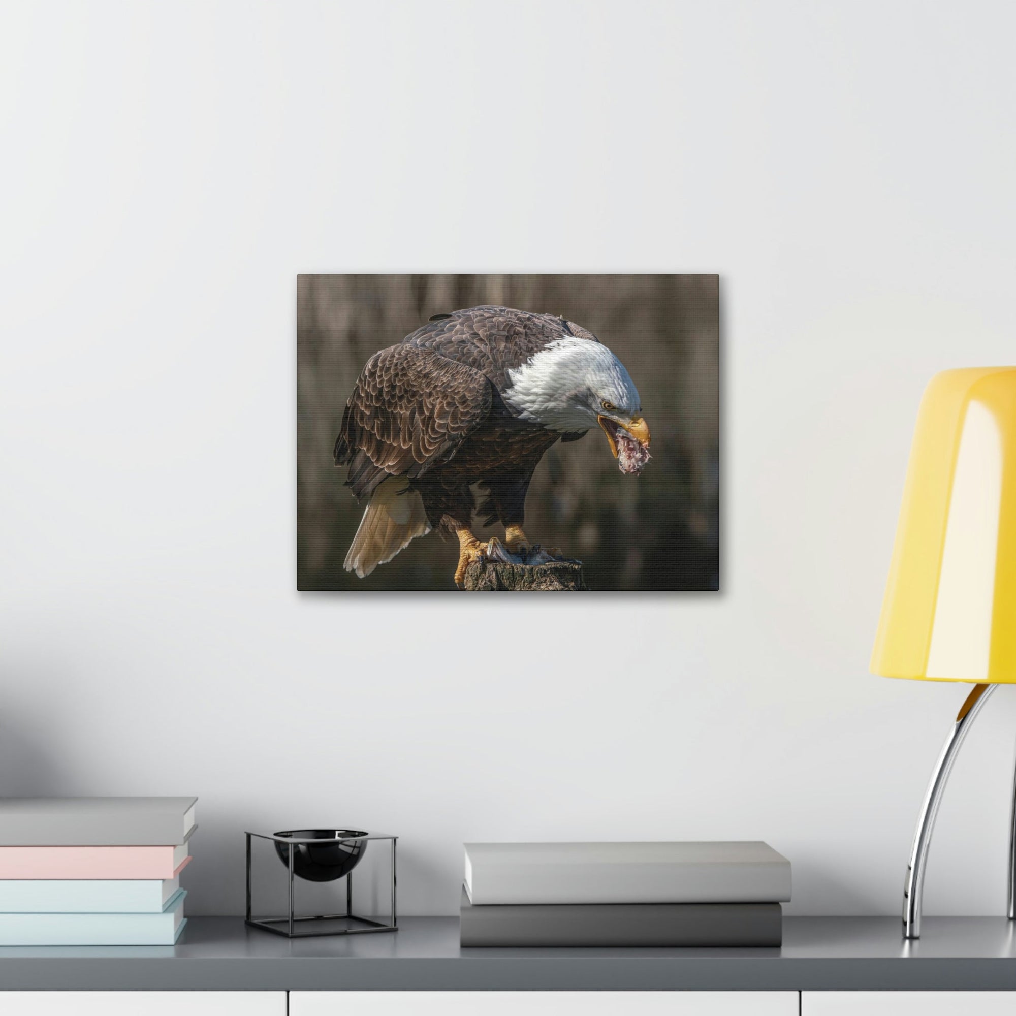 Scripture Walls Bald Eagle Hunting Bald Eagle on Hunt Print Animal Wall Art Wildlife Canvas Prints Wall Art Ready to Hang Unframed-Express Your Love Gifts