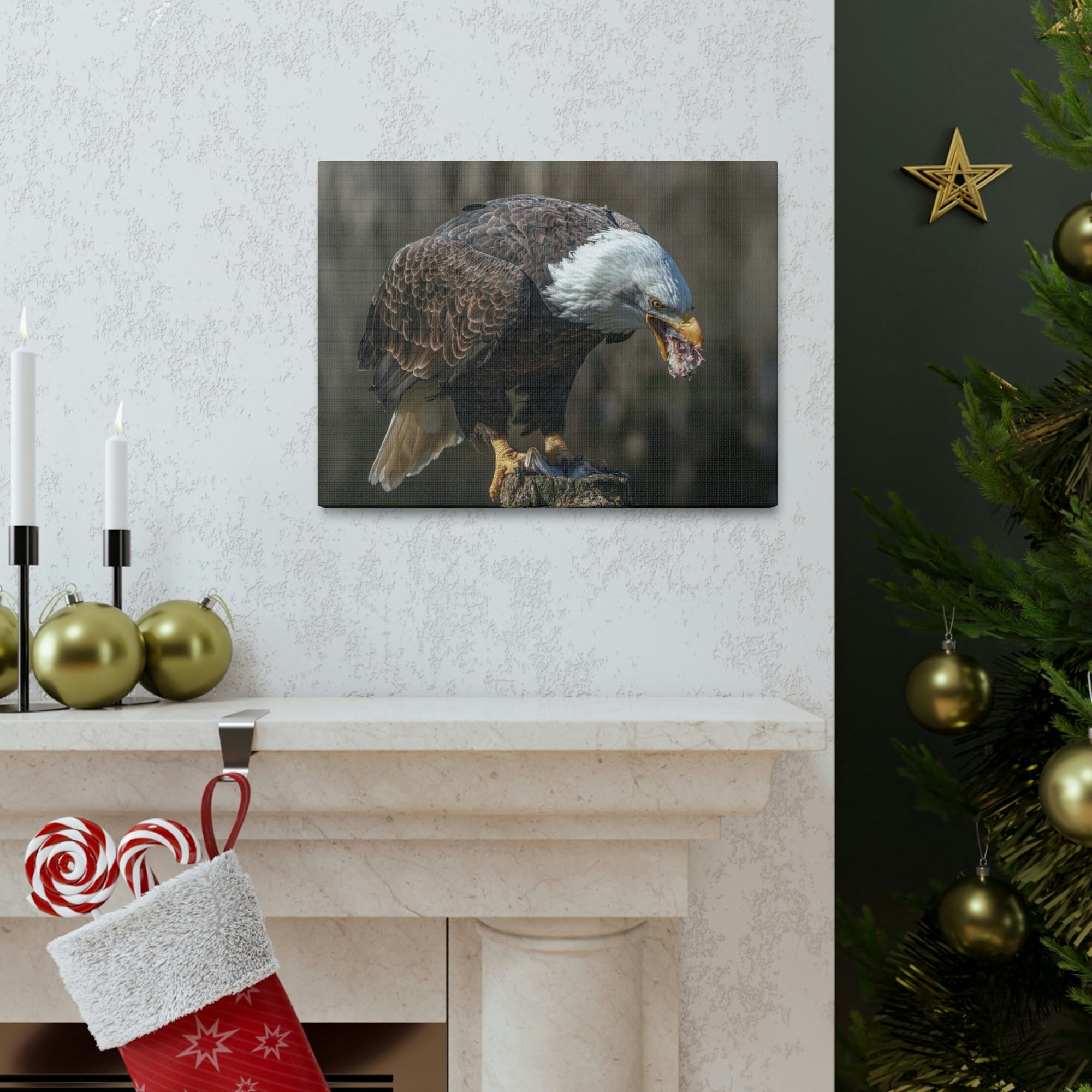 Scripture Walls Bald Eagle Hunting Bald Eagle on Hunt Print Animal Wall Art Wildlife Canvas Prints Wall Art Ready to Hang Unframed-Express Your Love Gifts