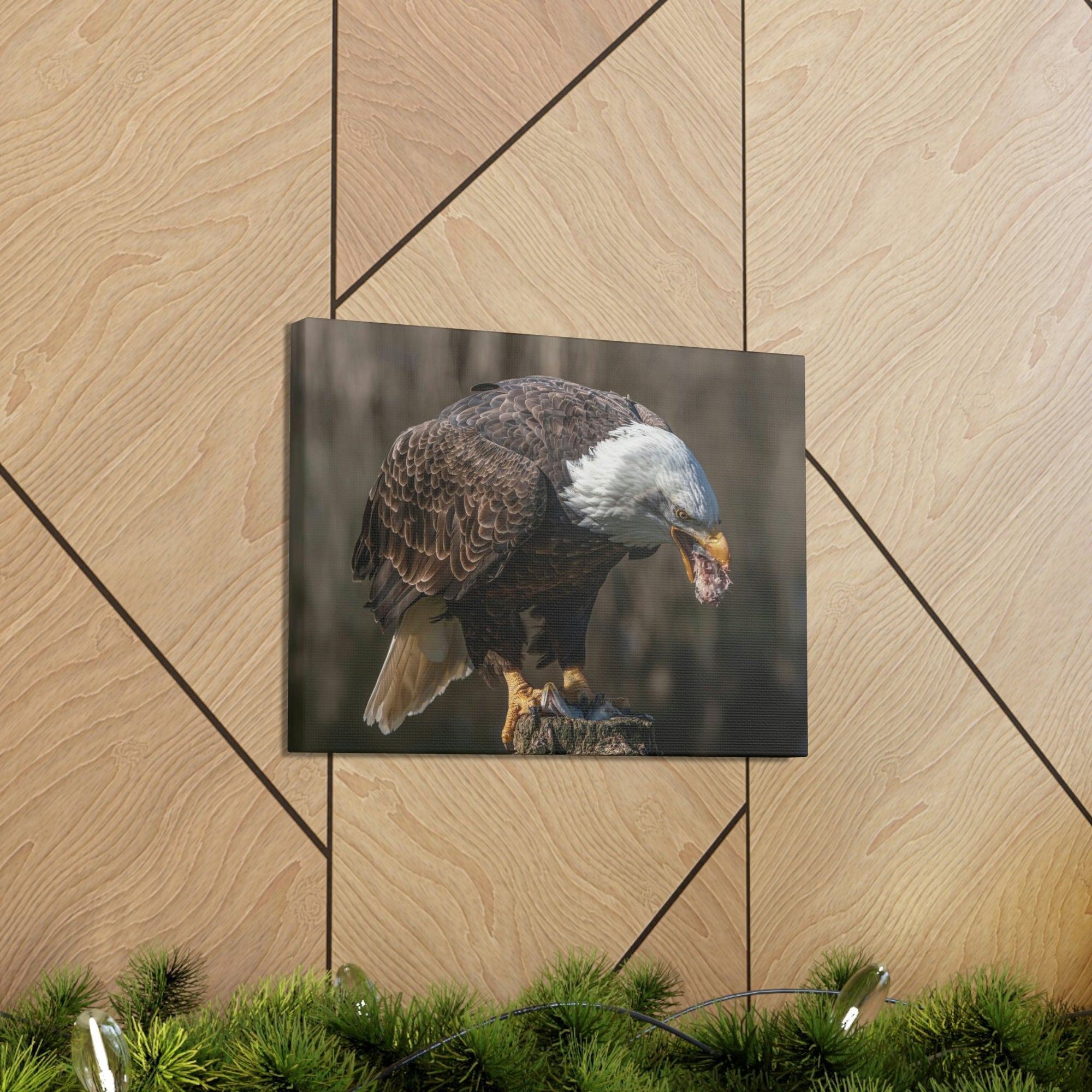 Scripture Walls Bald Eagle Hunting Bald Eagle on Hunt Print Animal Wall Art Wildlife Canvas Prints Wall Art Ready to Hang Unframed-Express Your Love Gifts