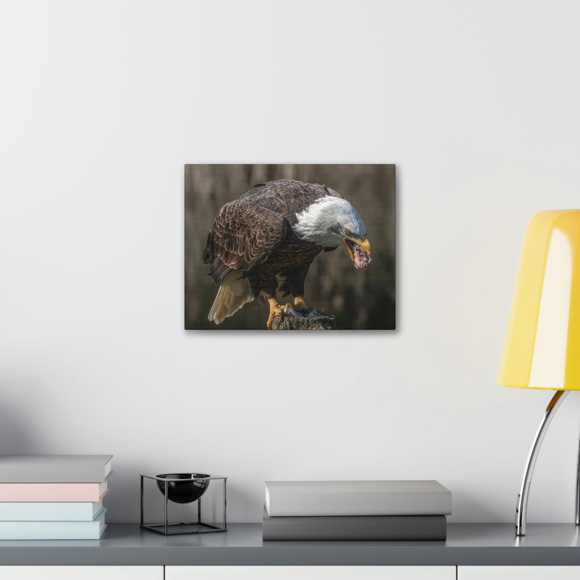 Scripture Walls Bald Eagle Hunting Bald Eagle on Hunt Print Animal Wall Art Wildlife Canvas Prints Wall Art Ready to Hang Unframed-Express Your Love Gifts