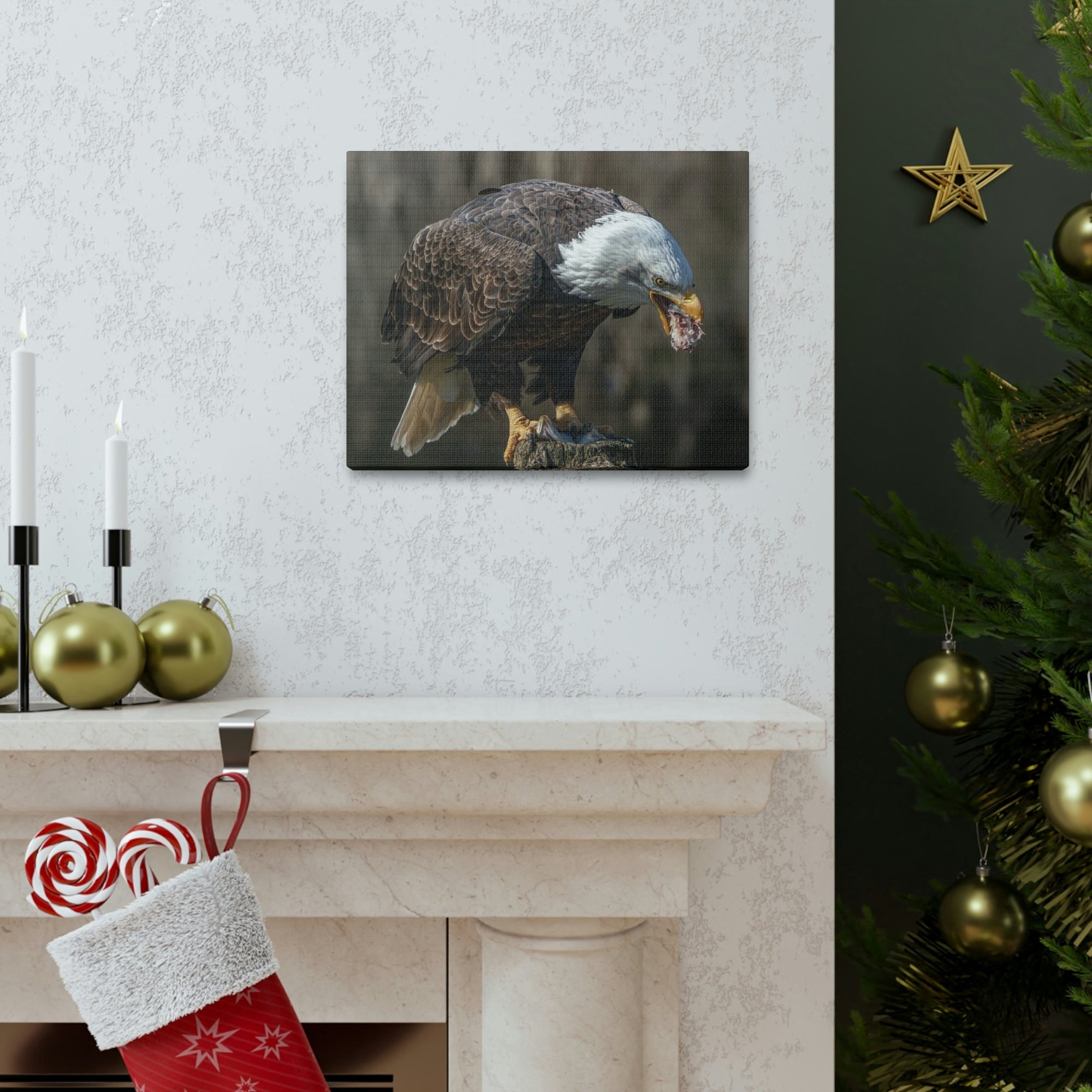 Scripture Walls Bald Eagle Hunting Bald Eagle on Hunt Print Animal Wall Art Wildlife Canvas Prints Wall Art Ready to Hang Unframed-Express Your Love Gifts