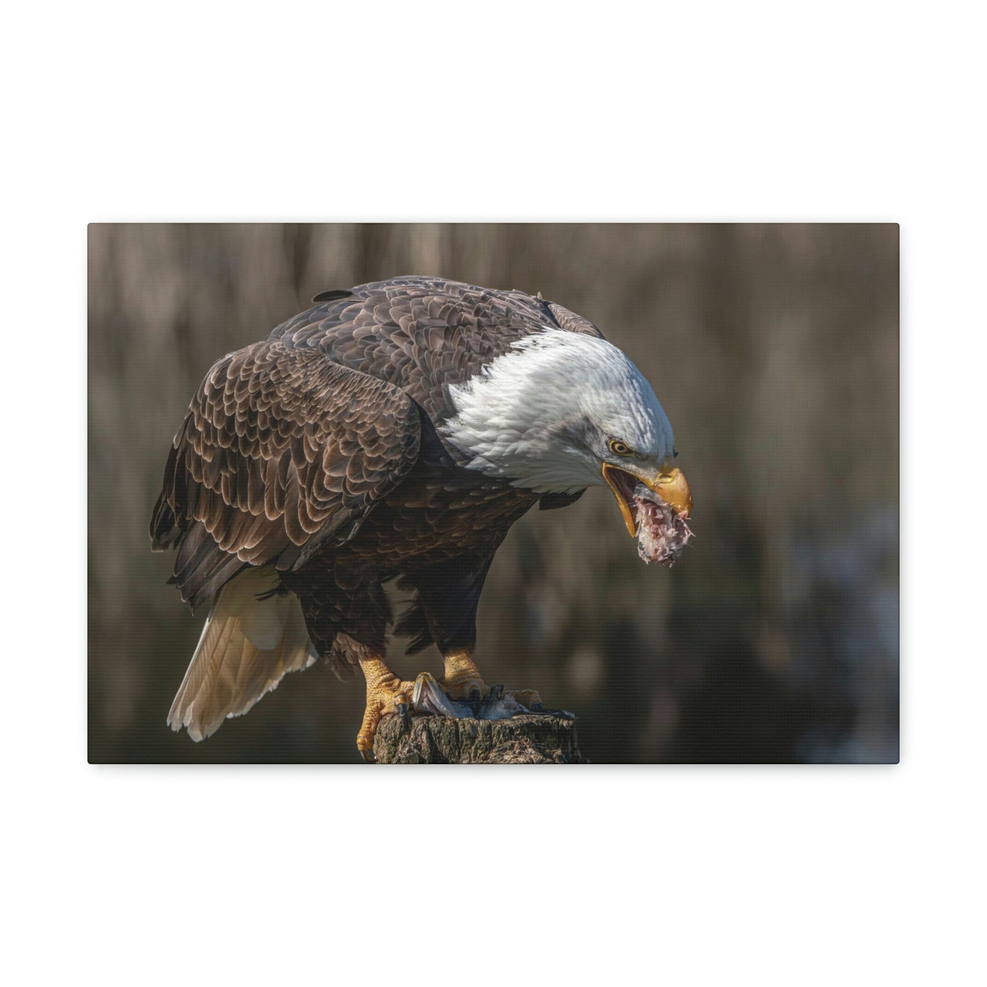 Scripture Walls Bald Eagle Hunting Bald Eagle on Hunt Print Animal Wall Art Wildlife Canvas Prints Wall Art Ready to Hang Unframed-Express Your Love Gifts