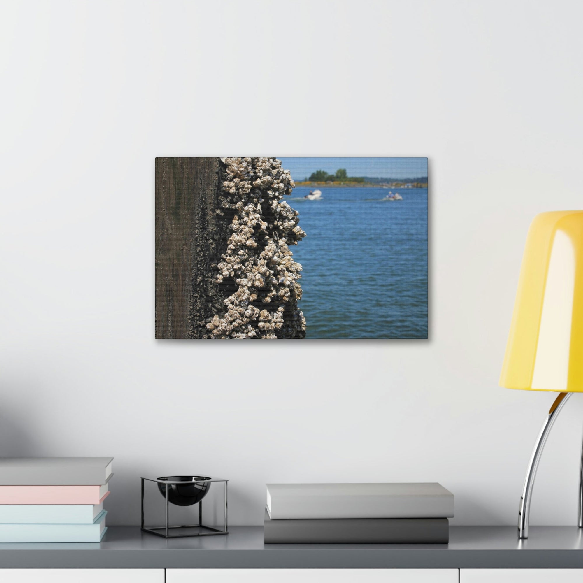 Scripture Walls Barnacles on Pier With Water Behind Print Animal Wall Art Wildlife Canvas Prints Wall Art Ready to Hang Unframed-Express Your Love Gifts