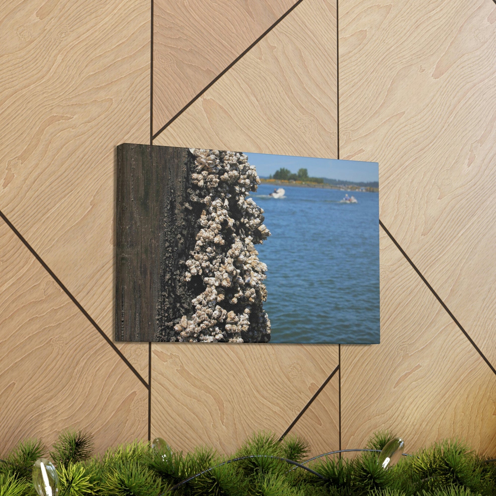 Scripture Walls Barnacles on Pier With Water Behind Print Animal Wall Art Wildlife Canvas Prints Wall Art Ready to Hang Unframed-Express Your Love Gifts