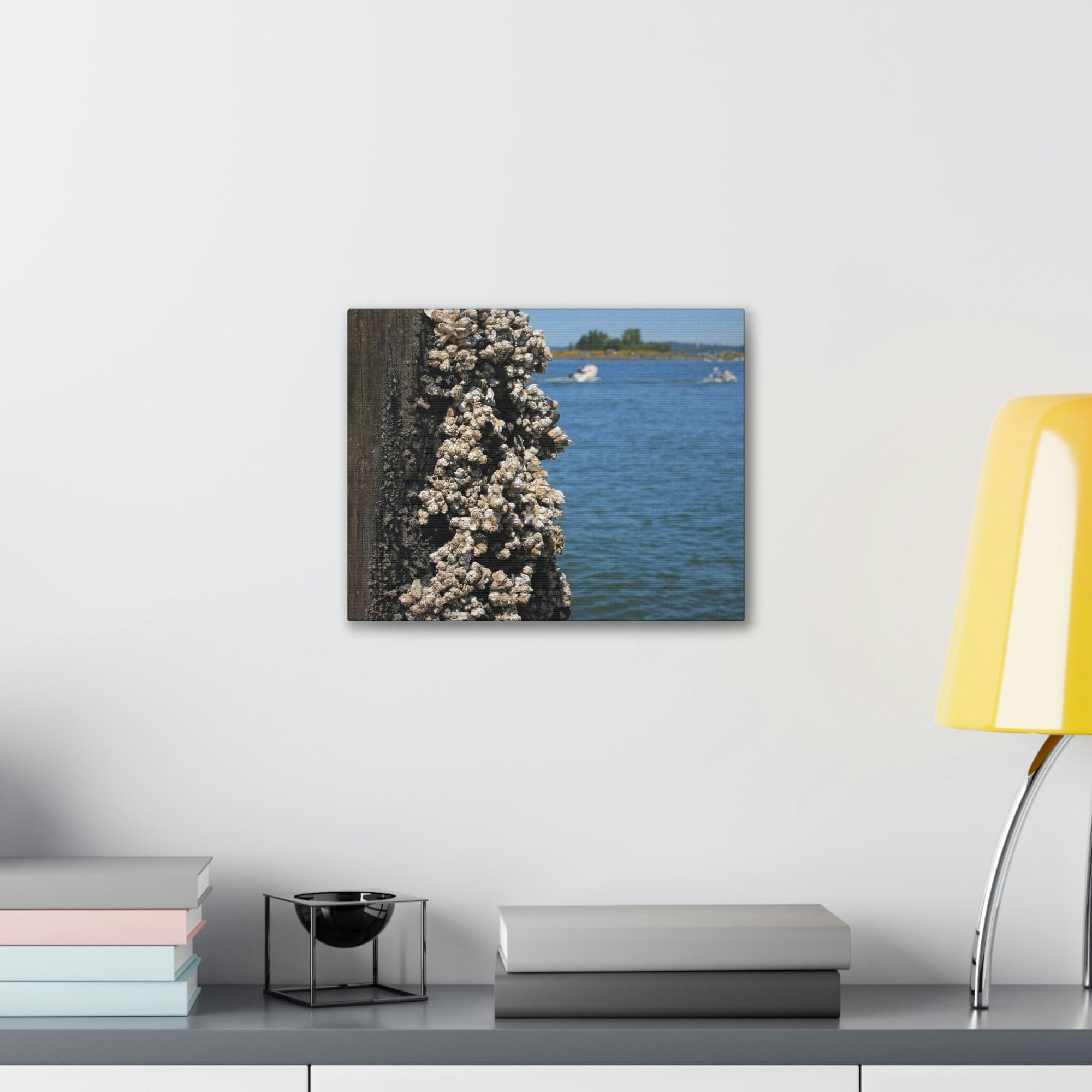 Scripture Walls Barnacles on Pier With Water Behind Print Animal Wall Art Wildlife Canvas Prints Wall Art Ready to Hang Unframed-Express Your Love Gifts