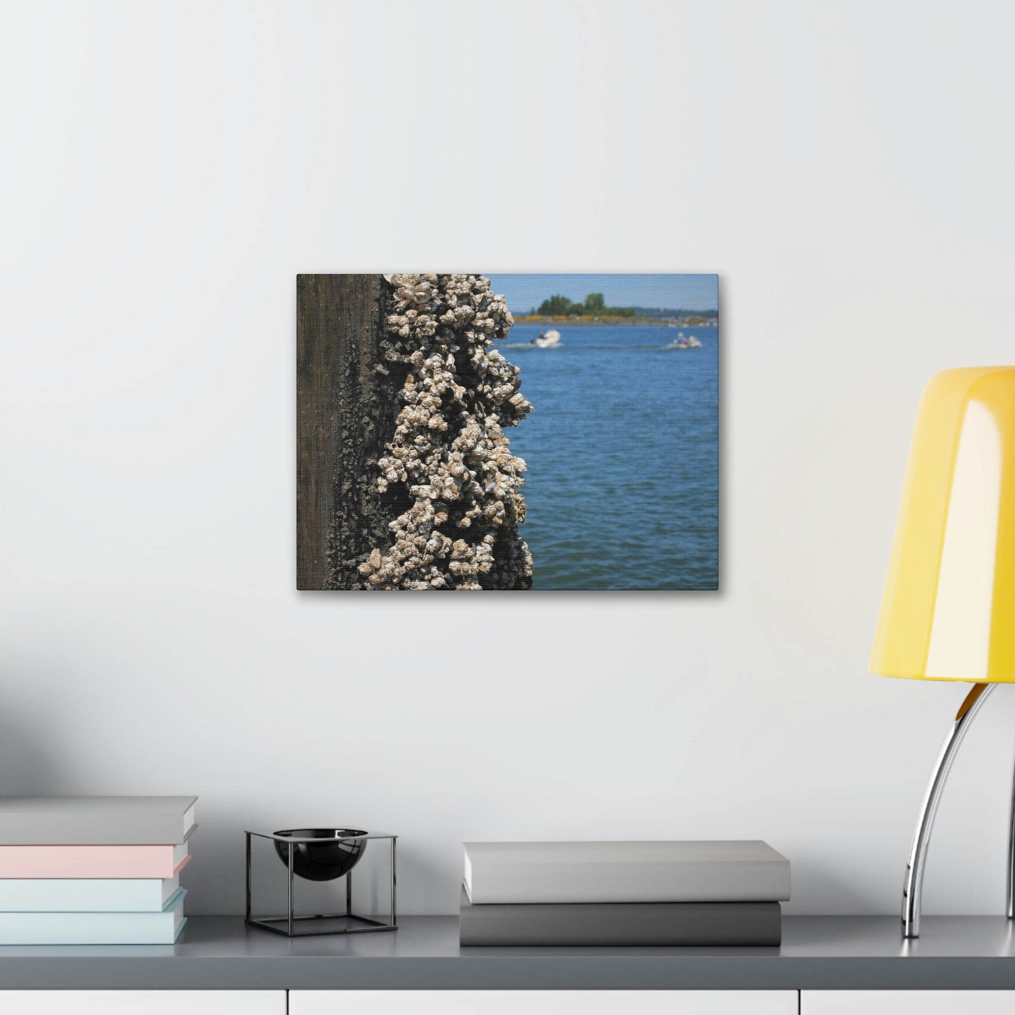 Scripture Walls Barnacles on Pier With Water Behind Print Animal Wall Art Wildlife Canvas Prints Wall Art Ready to Hang Unframed-Express Your Love Gifts