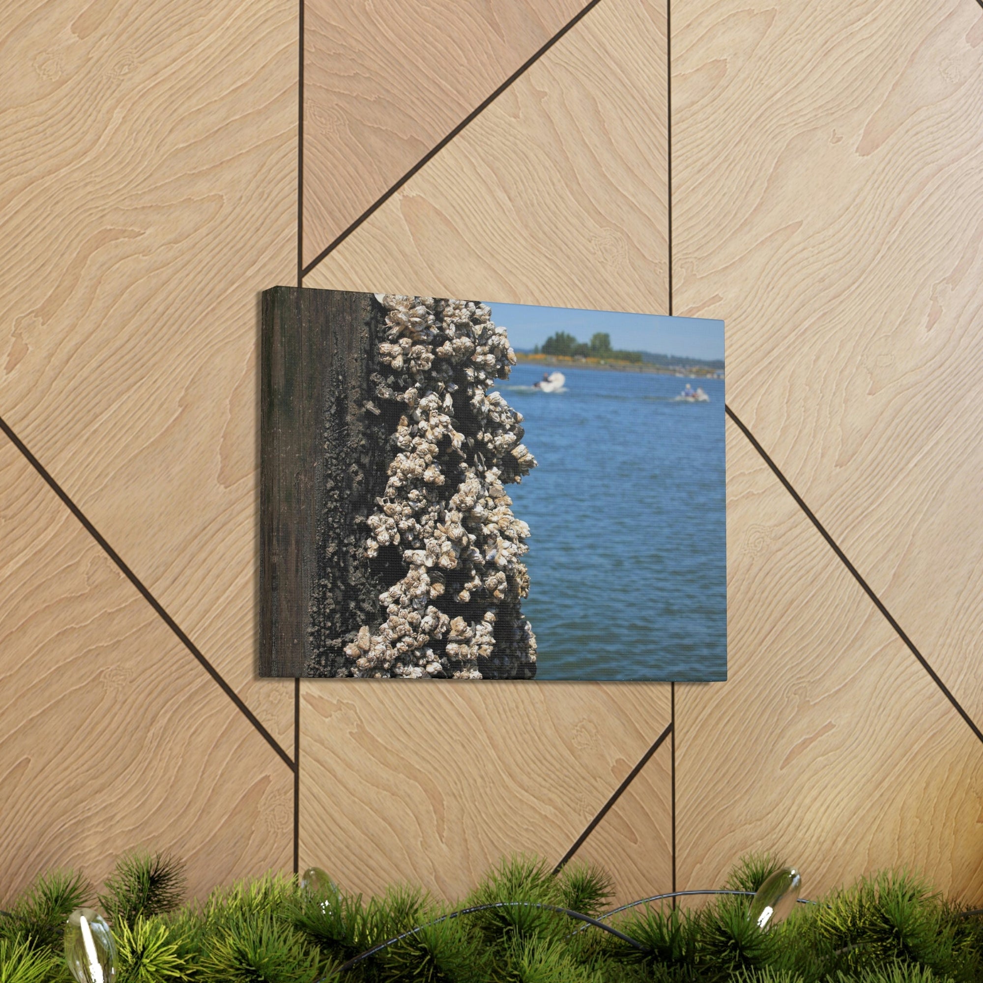 Scripture Walls Barnacles on Pier With Water Behind Print Animal Wall Art Wildlife Canvas Prints Wall Art Ready to Hang Unframed-Express Your Love Gifts