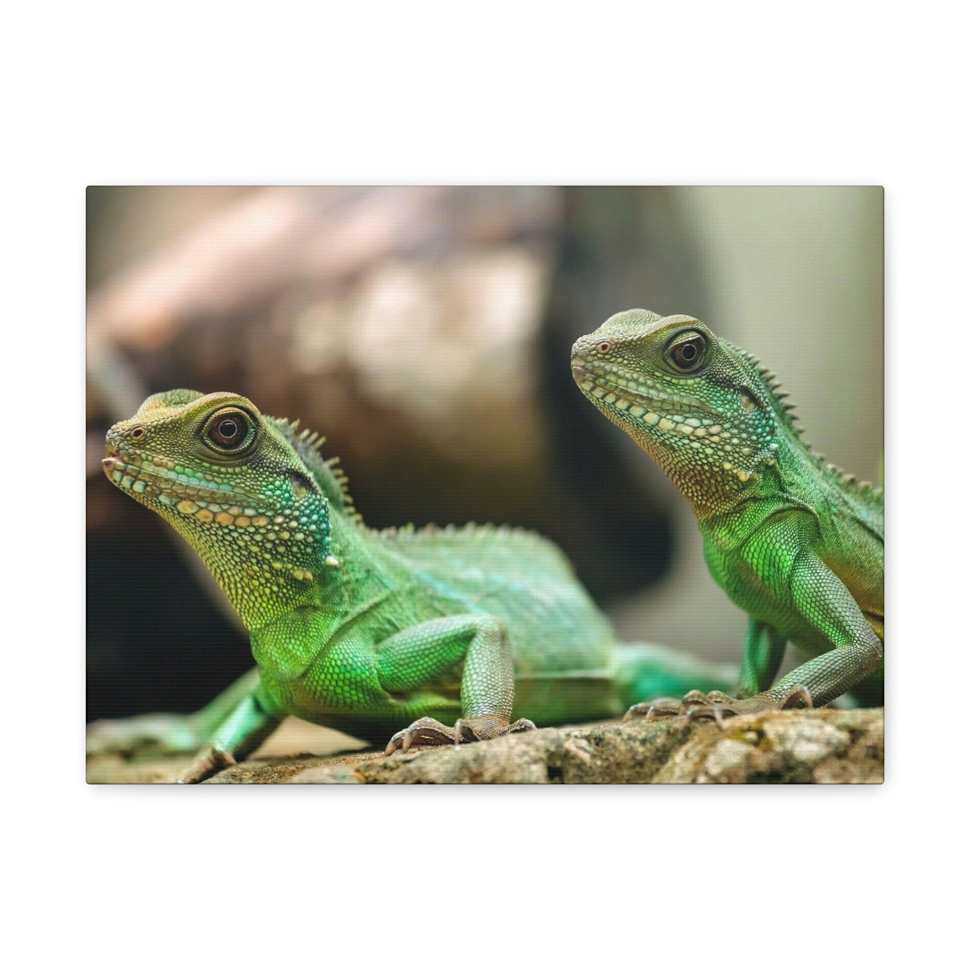 Scripture Walls Basilisk Couple Basilisk Troop Print Animal Wall Art Wildlife Canvas Prints Wall Art Ready to Hang Unframed-Express Your Love Gifts