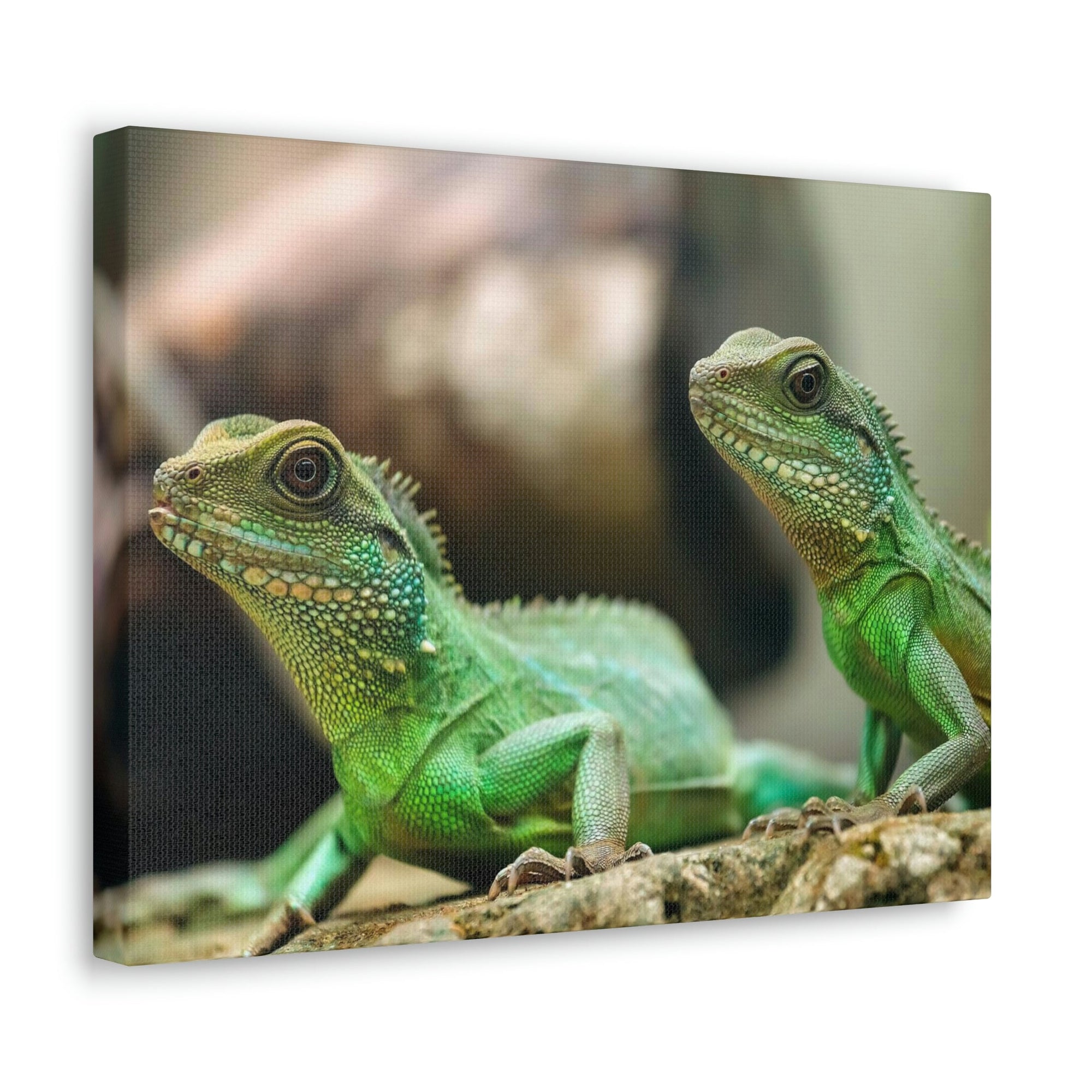 Scripture Walls Basilisk Couple Basilisk Troop Print Animal Wall Art Wildlife Canvas Prints Wall Art Ready to Hang Unframed-Express Your Love Gifts