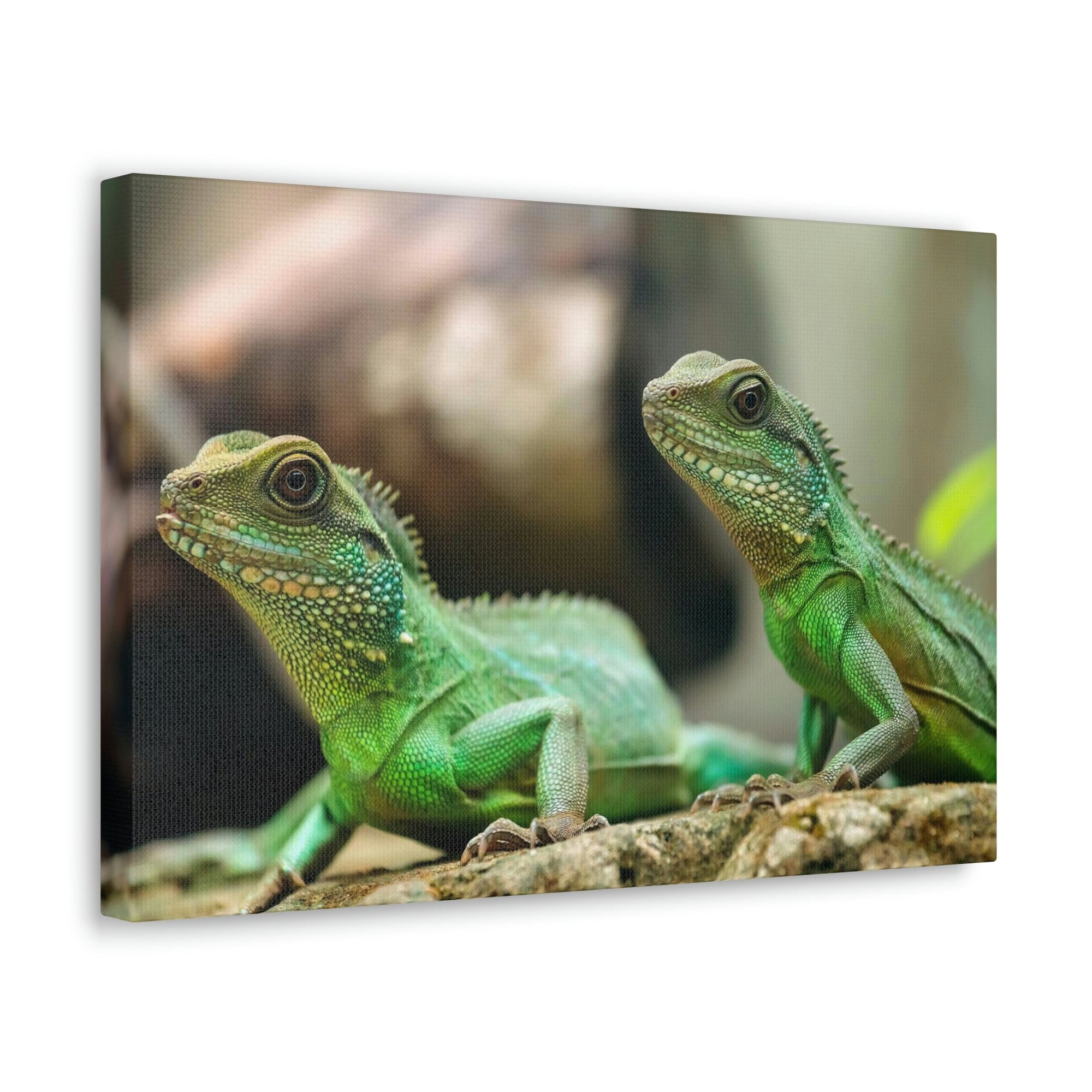 Scripture Walls Basilisk Couple Basilisk Troop Print Animal Wall Art Wildlife Canvas Prints Wall Art Ready to Hang Unframed-Express Your Love Gifts