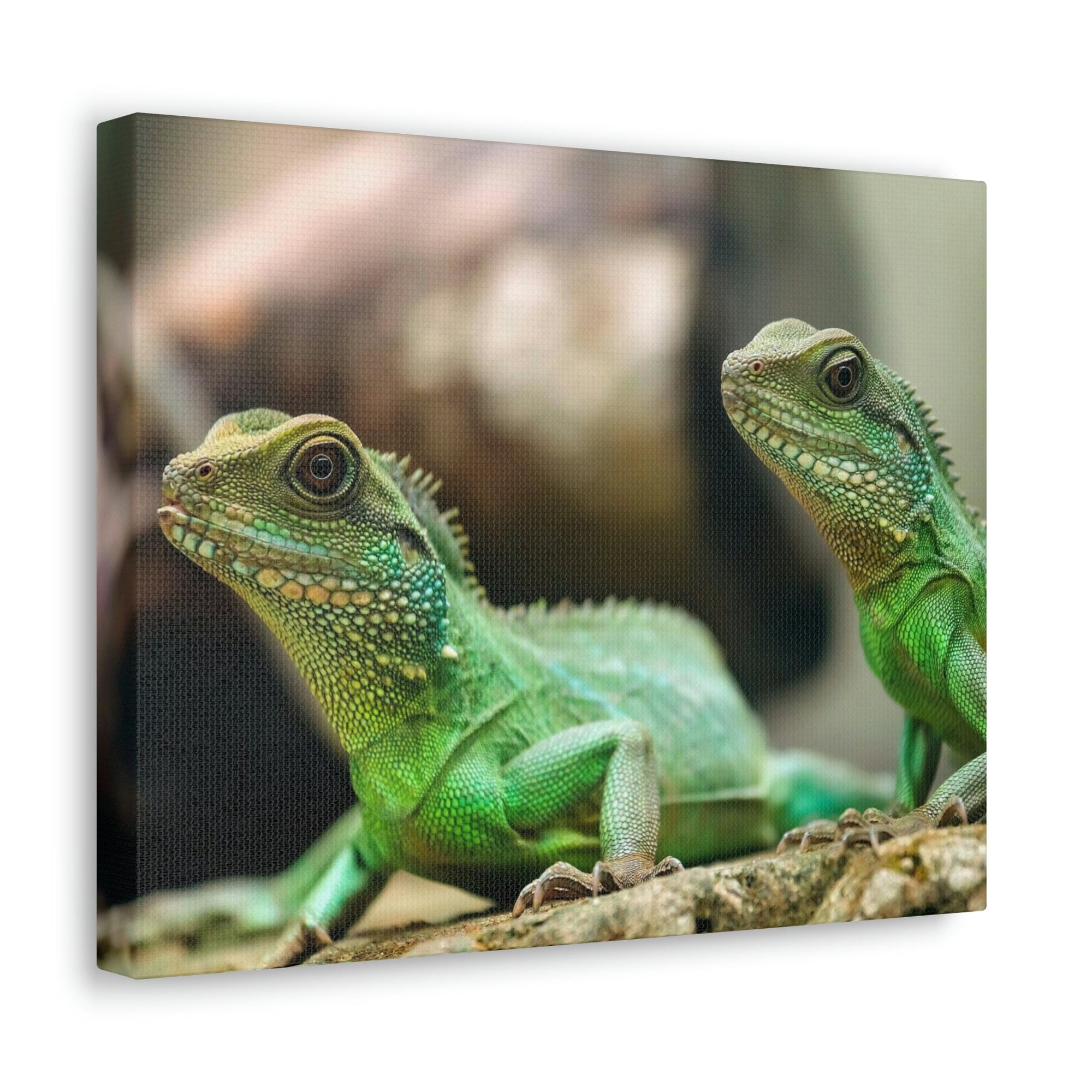 Scripture Walls Basilisk Couple Basilisk Troop Print Animal Wall Art Wildlife Canvas Prints Wall Art Ready to Hang Unframed-Express Your Love Gifts