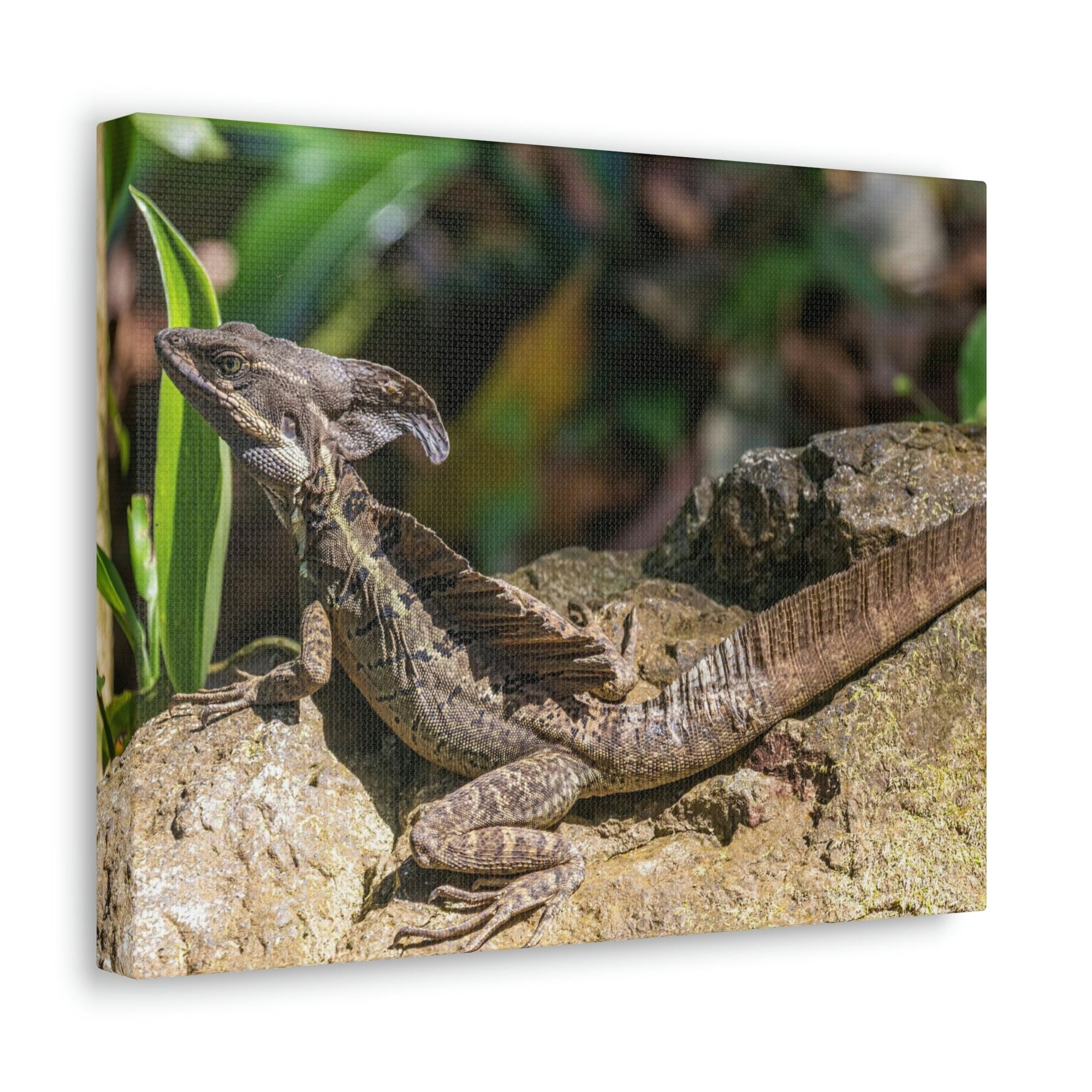 Scripture Walls Basilisk Hunting Basilisk on Hunt Print Animal Wall Art Wildlife Canvas Prints Wall Art Ready to Hang Unframed-Express Your Love Gifts