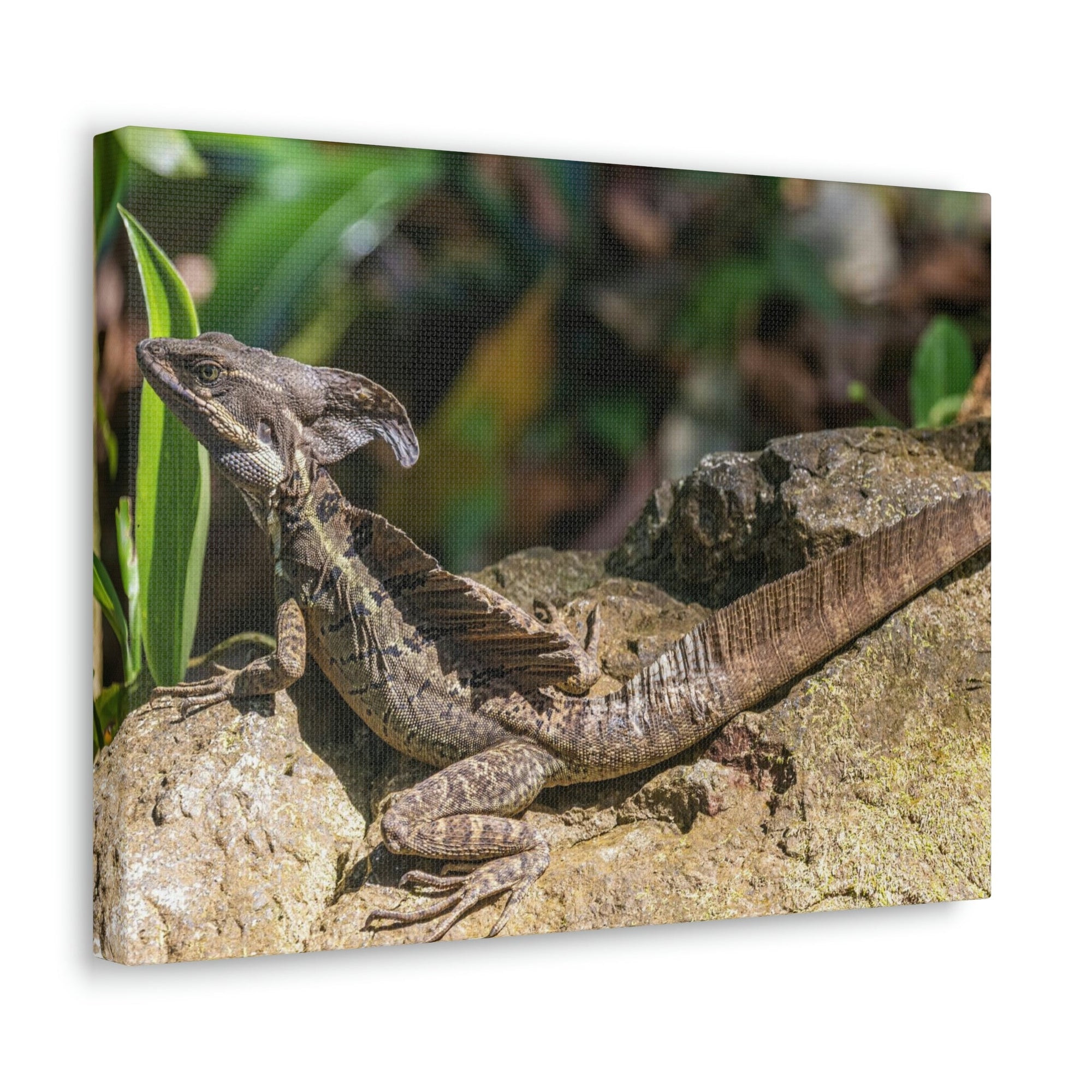 Scripture Walls Basilisk Hunting Basilisk on Hunt Print Animal Wall Art Wildlife Canvas Prints Wall Art Ready to Hang Unframed-Express Your Love Gifts