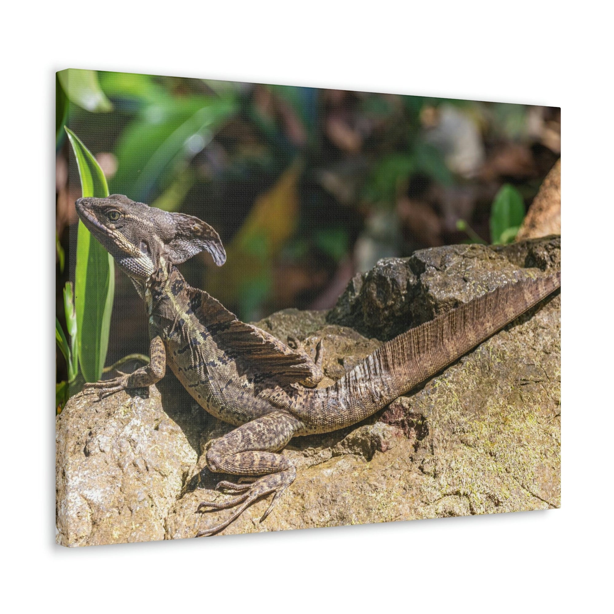 Scripture Walls Basilisk Hunting Basilisk on Hunt Print Animal Wall Art Wildlife Canvas Prints Wall Art Ready to Hang Unframed-Express Your Love Gifts