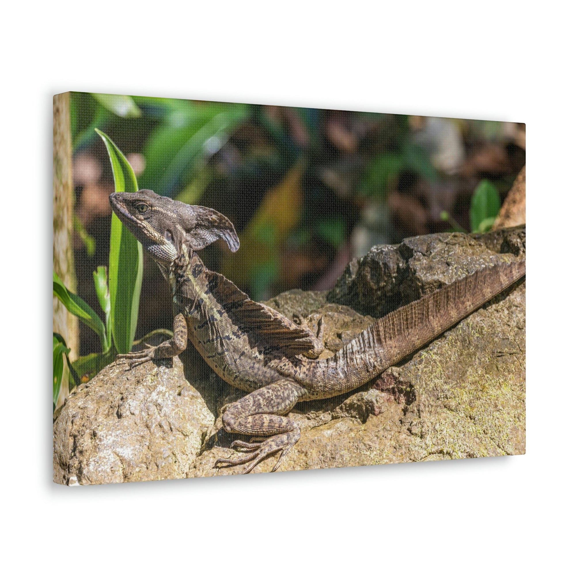 Scripture Walls Basilisk Hunting Basilisk on Hunt Print Animal Wall Art Wildlife Canvas Prints Wall Art Ready to Hang Unframed-Express Your Love Gifts