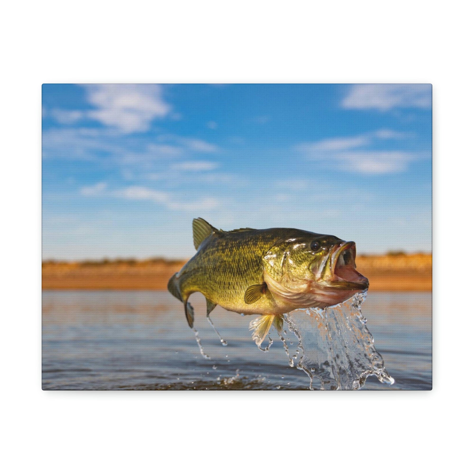 Scripture Walls Bass Hunting Bass on Hunt Print Animal Wall Art Wildlife Canvas Prints Wall Art Ready to Hang Unframed-Express Your Love Gifts