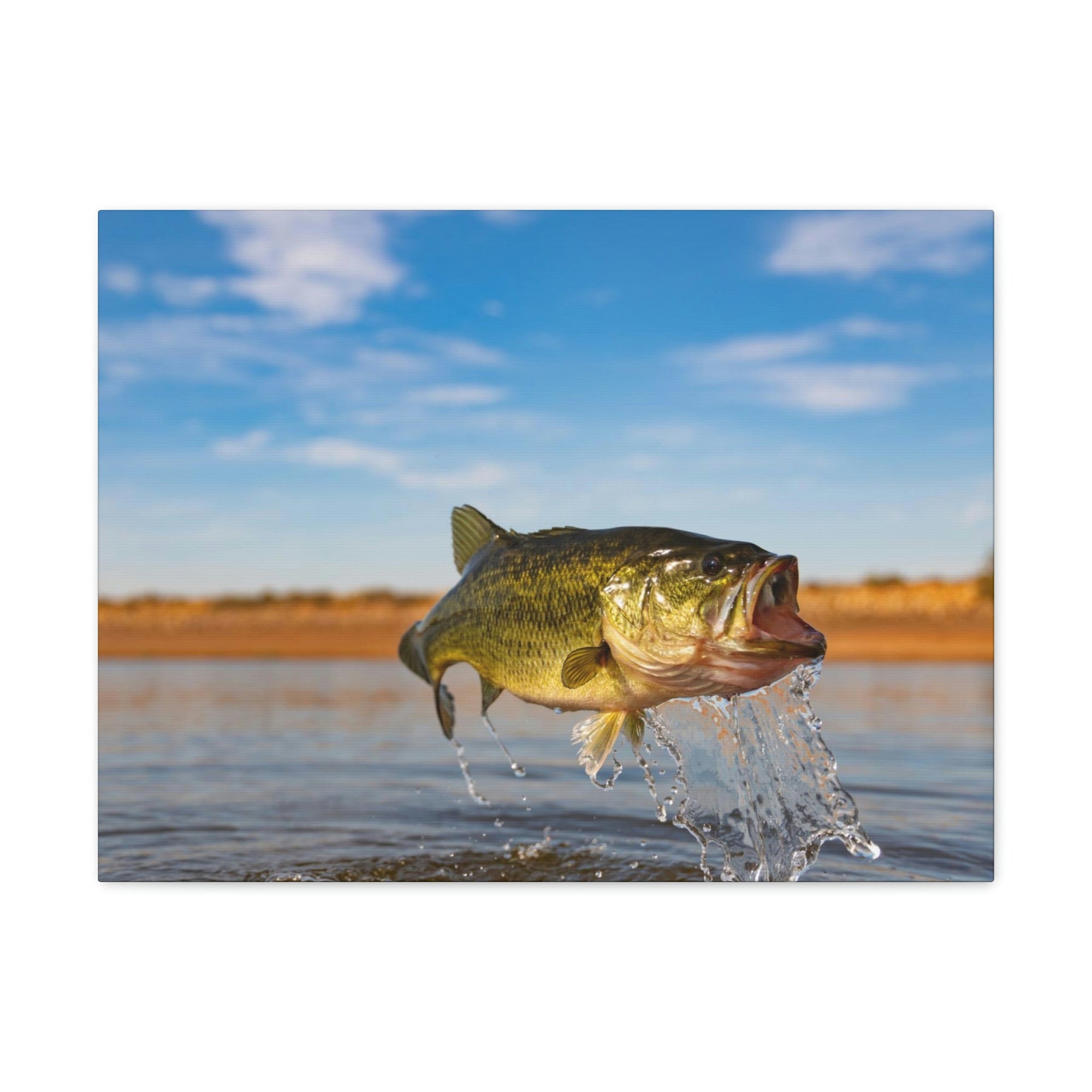 Scripture Walls Bass Hunting Bass on Hunt Print Animal Wall Art Wildlife Canvas Prints Wall Art Ready to Hang Unframed-Express Your Love Gifts