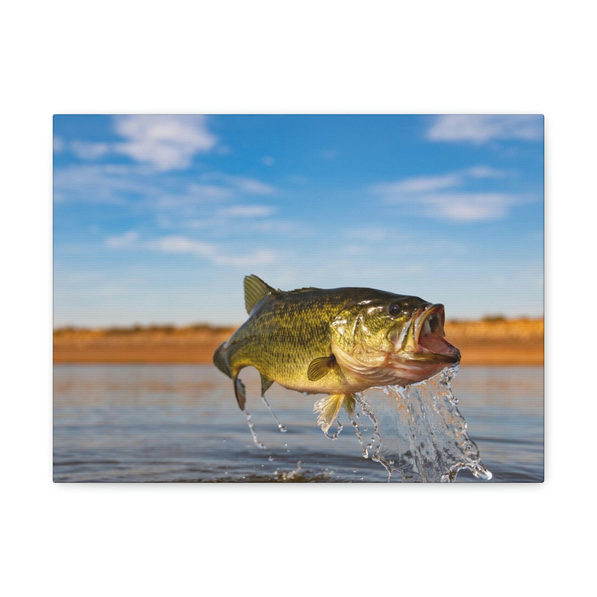 Scripture Walls Bass Hunting Bass on Hunt Print Animal Wall Art Wildlife Canvas Prints Wall Art Ready to Hang Unframed-Express Your Love Gifts