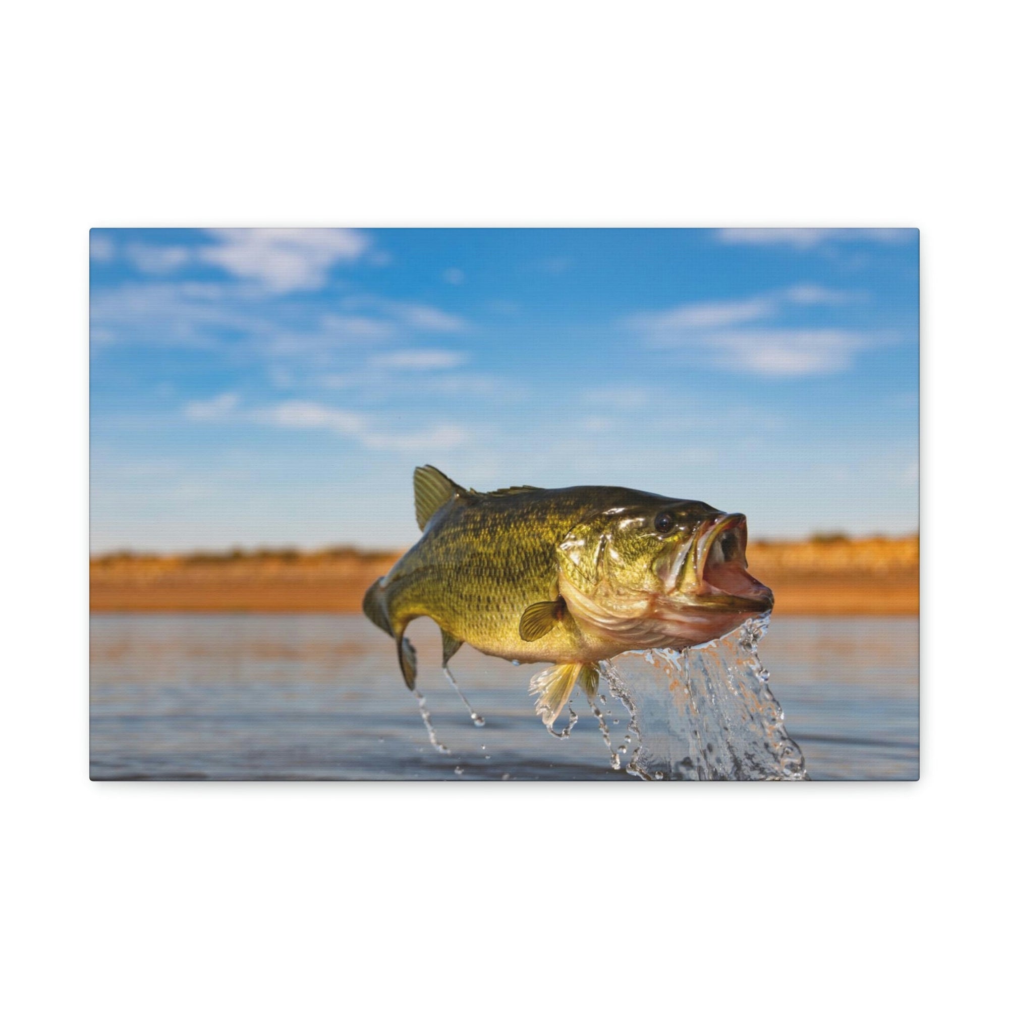 Scripture Walls Bass Hunting Bass on Hunt Print Animal Wall Art Wildlife Canvas Prints Wall Art Ready to Hang Unframed-Express Your Love Gifts