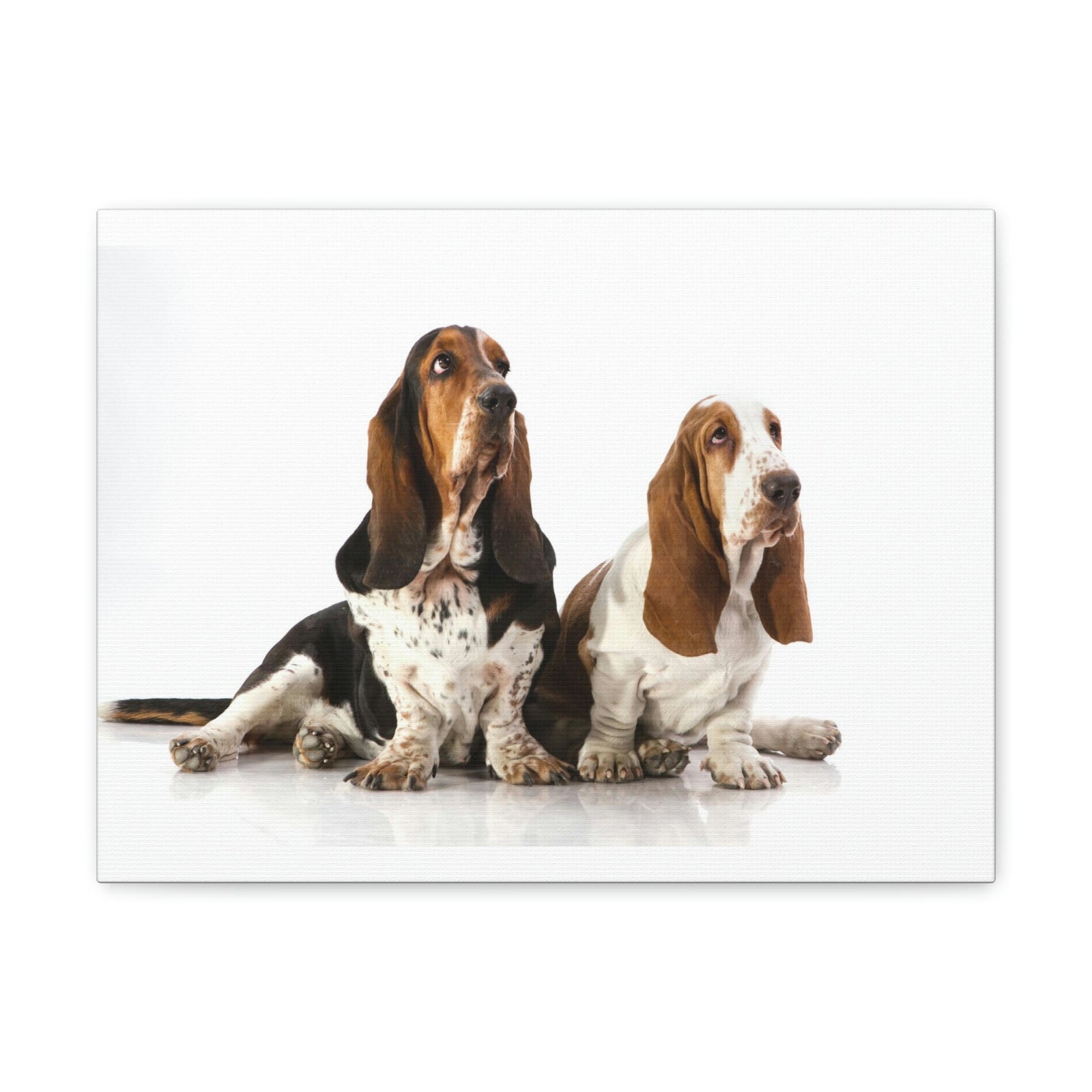 Scripture Walls Basset Hound Couple Basset Hound Troop Print Animal Wall Art Wildlife Canvas Prints Wall Art Ready to Hang Unframed-Express Your Love Gifts