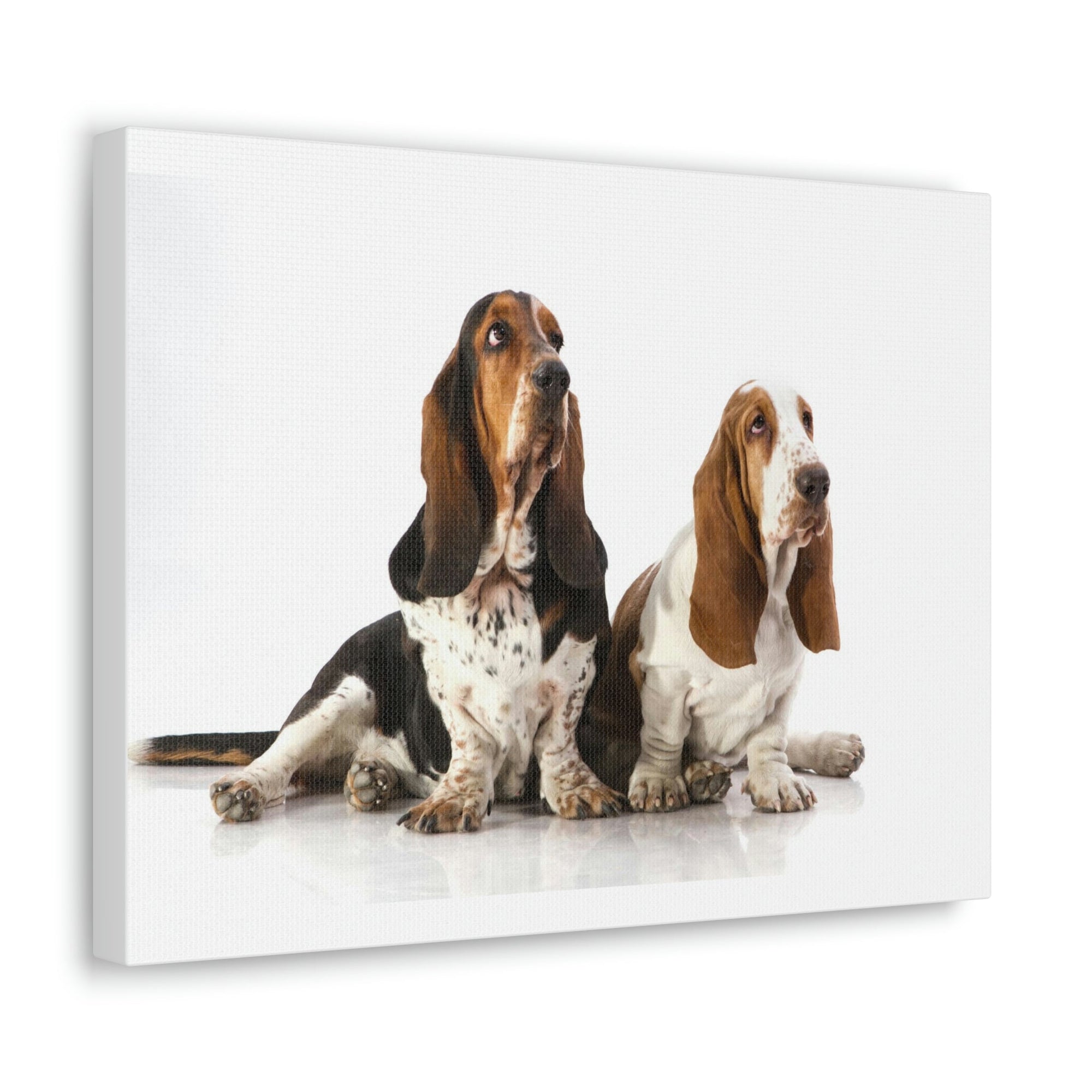 Scripture Walls Basset Hound Couple Basset Hound Troop Print Animal Wall Art Wildlife Canvas Prints Wall Art Ready to Hang Unframed-Express Your Love Gifts