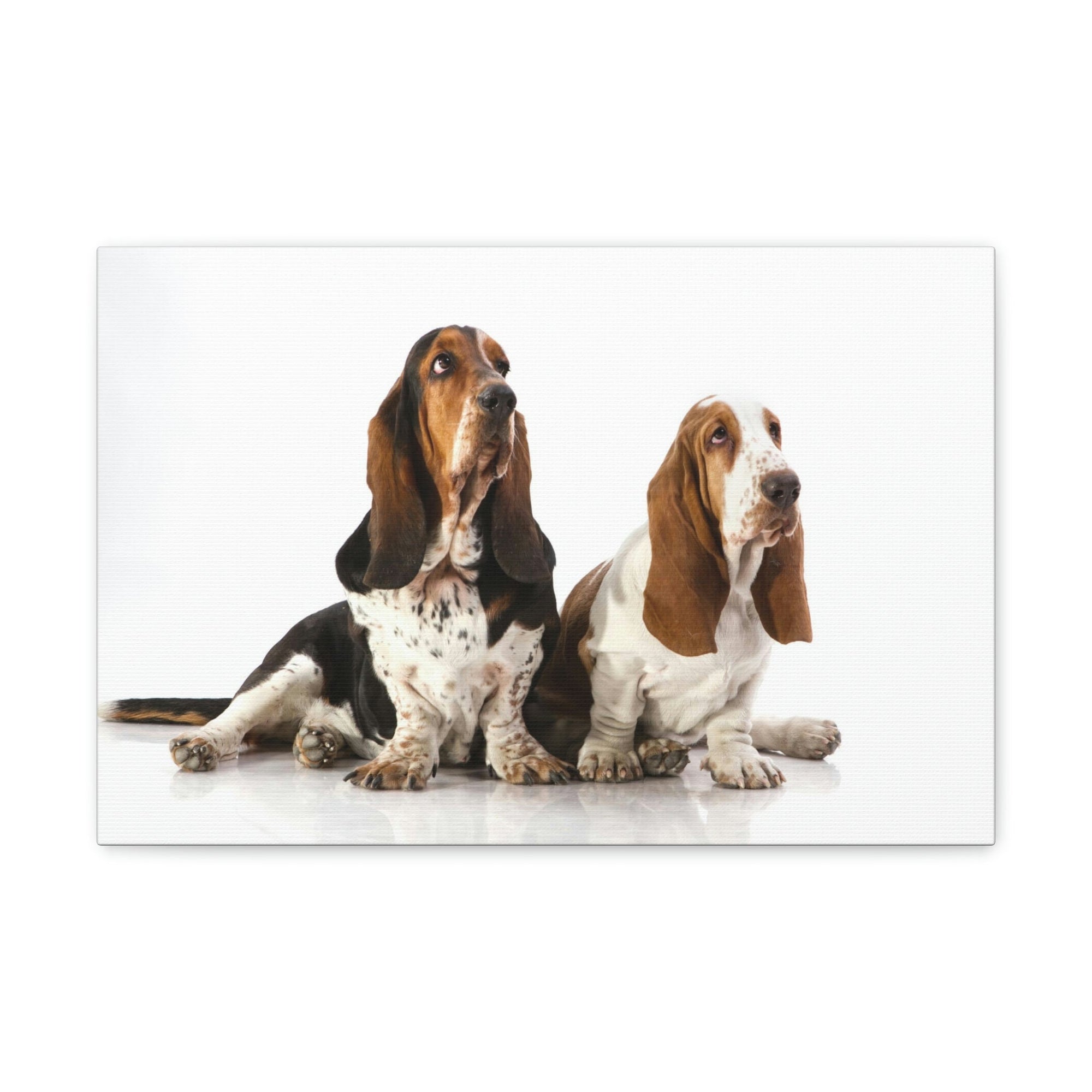 Scripture Walls Basset Hound Couple Basset Hound Troop Print Animal Wall Art Wildlife Canvas Prints Wall Art Ready to Hang Unframed-Express Your Love Gifts