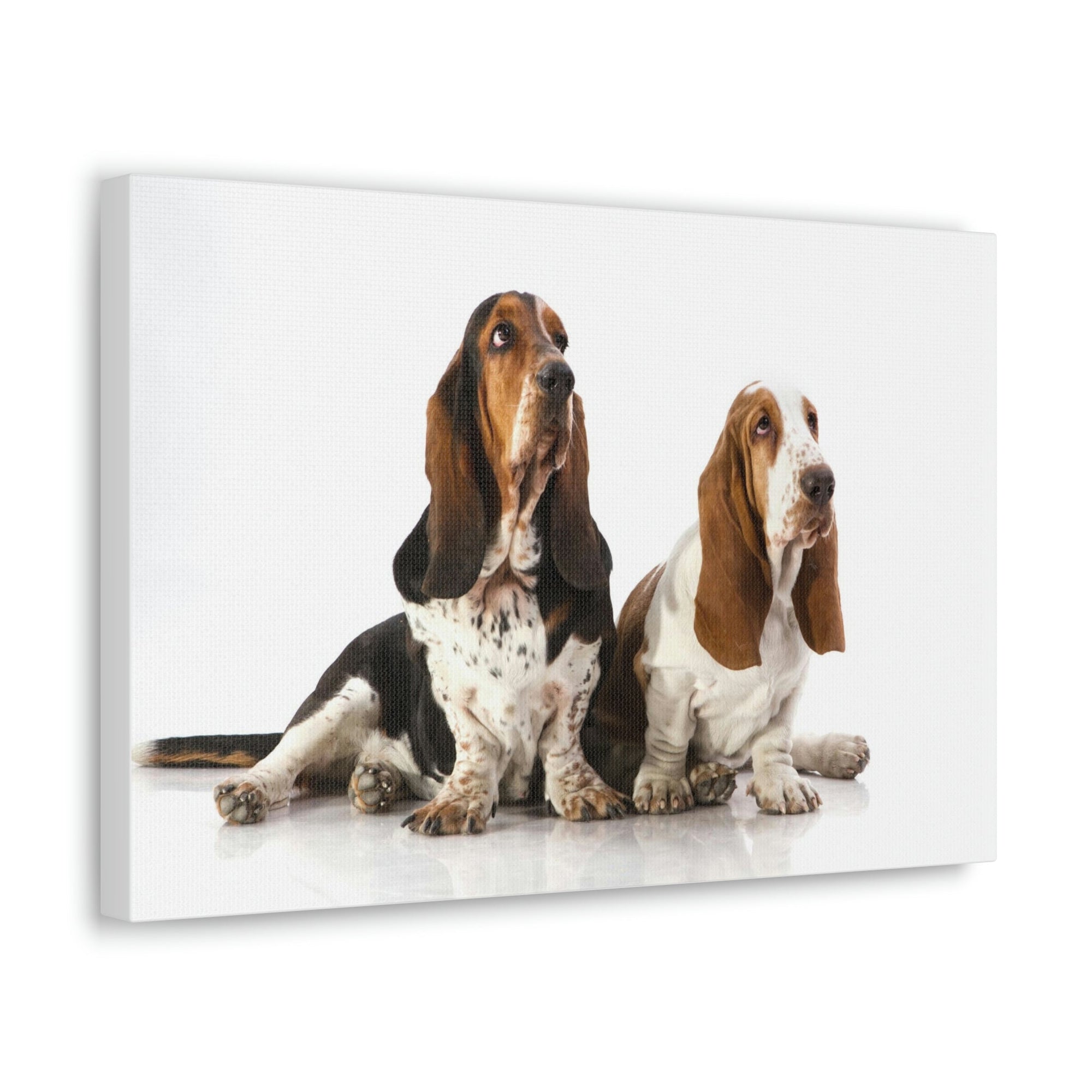 Scripture Walls Basset Hound Couple Basset Hound Troop Print Animal Wall Art Wildlife Canvas Prints Wall Art Ready to Hang Unframed-Express Your Love Gifts