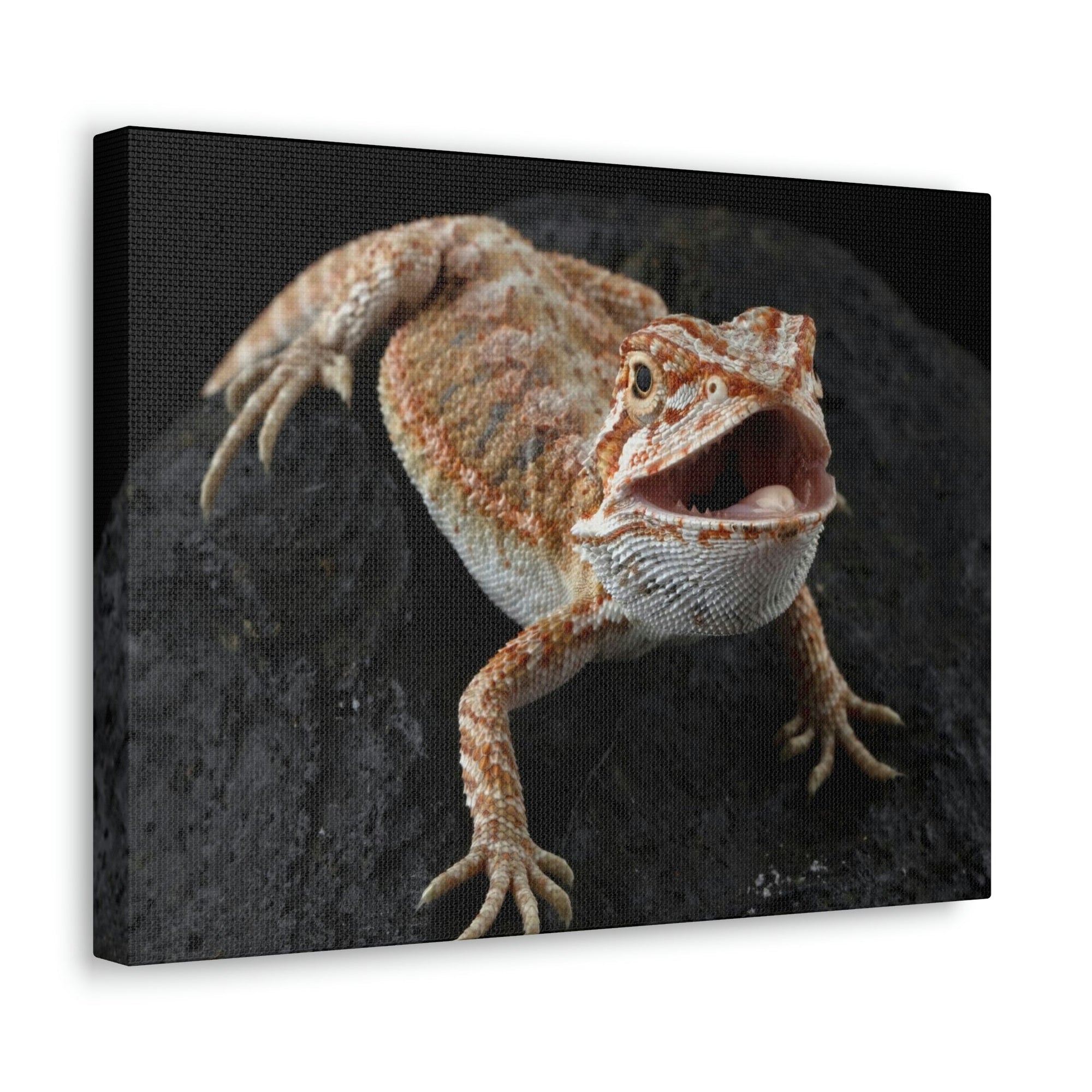 Scripture Walls Bearded Dragon Hunting Bearded Dragon on Hunt Print Animal Wall Art Wildlife Canvas Prints Wall Art Ready to Hang Unframed-Express Your Love Gifts