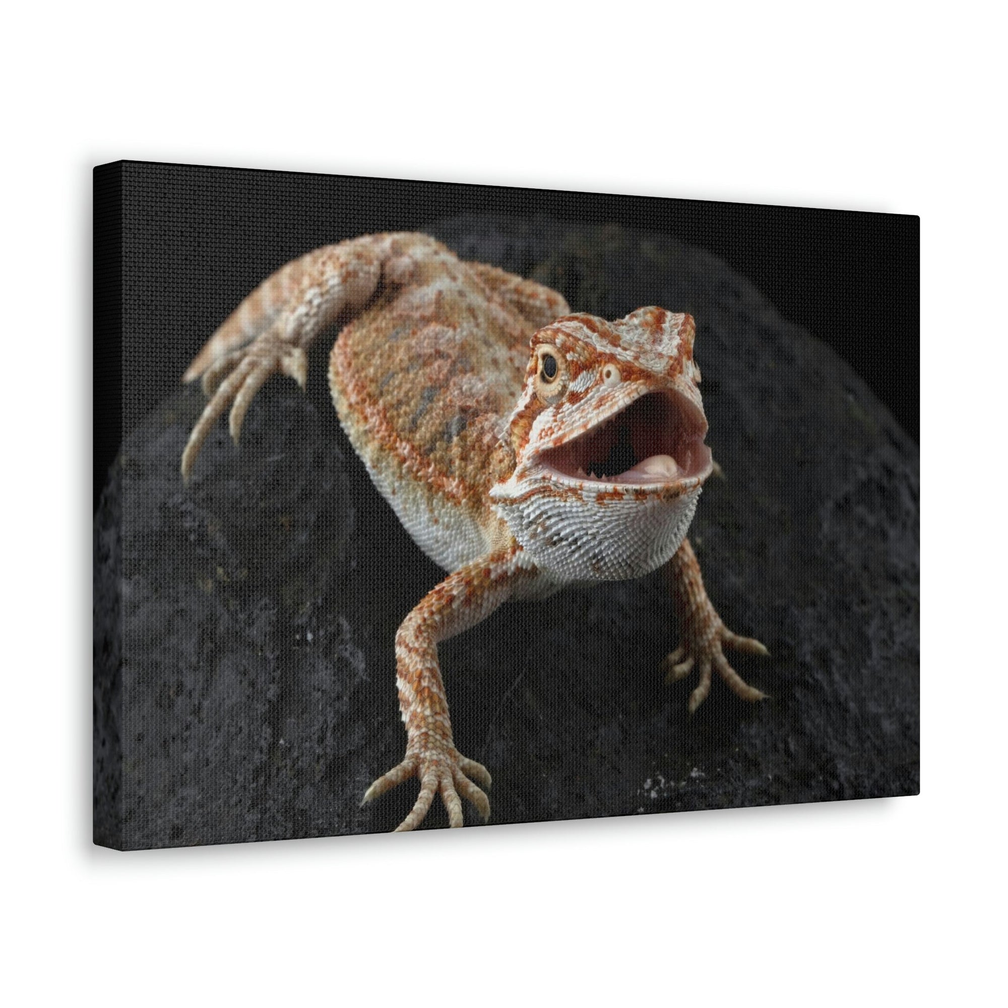 Scripture Walls Bearded Dragon Hunting Bearded Dragon on Hunt Print Animal Wall Art Wildlife Canvas Prints Wall Art Ready to Hang Unframed-Express Your Love Gifts