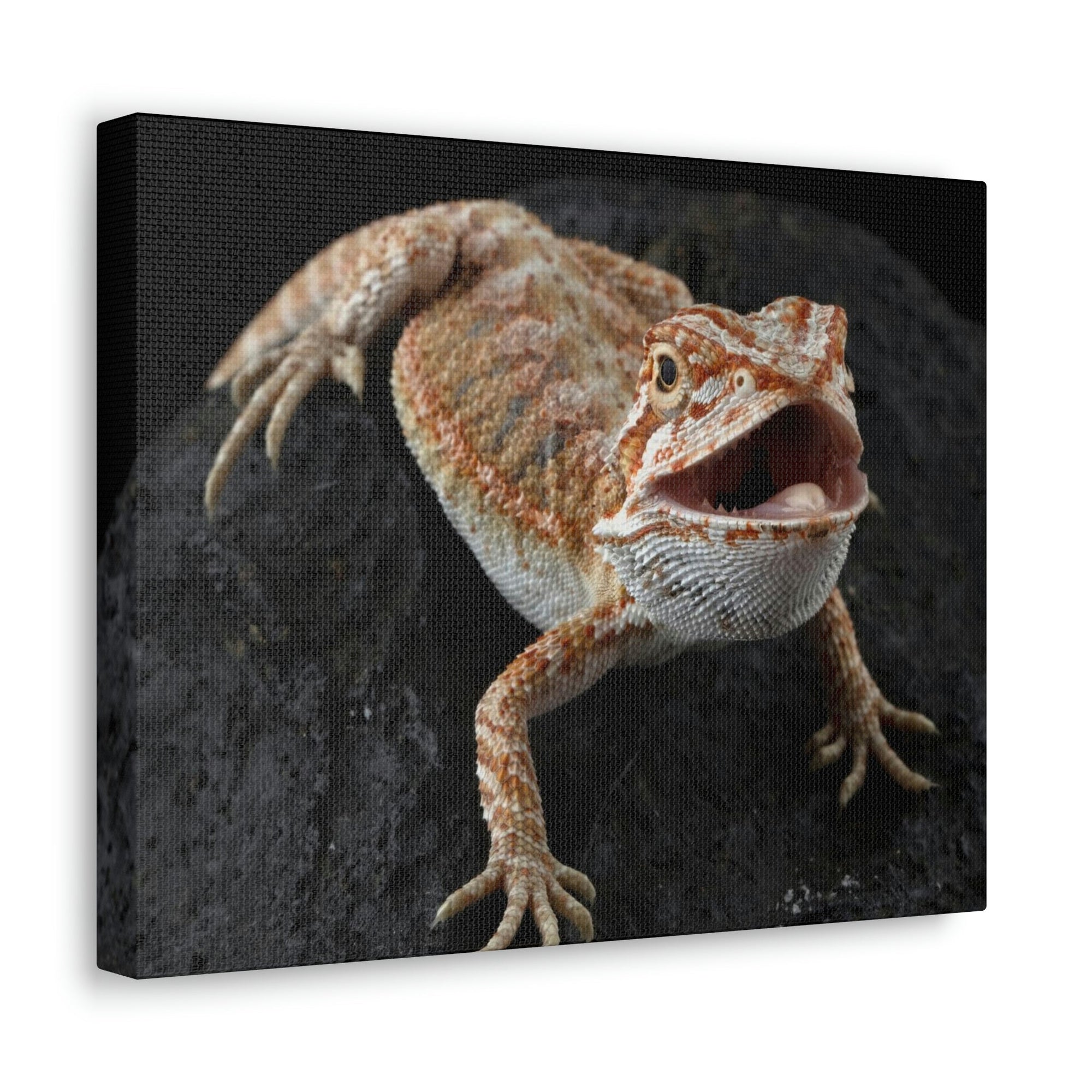 Scripture Walls Bearded Dragon Hunting Bearded Dragon on Hunt Print Animal Wall Art Wildlife Canvas Prints Wall Art Ready to Hang Unframed-Express Your Love Gifts