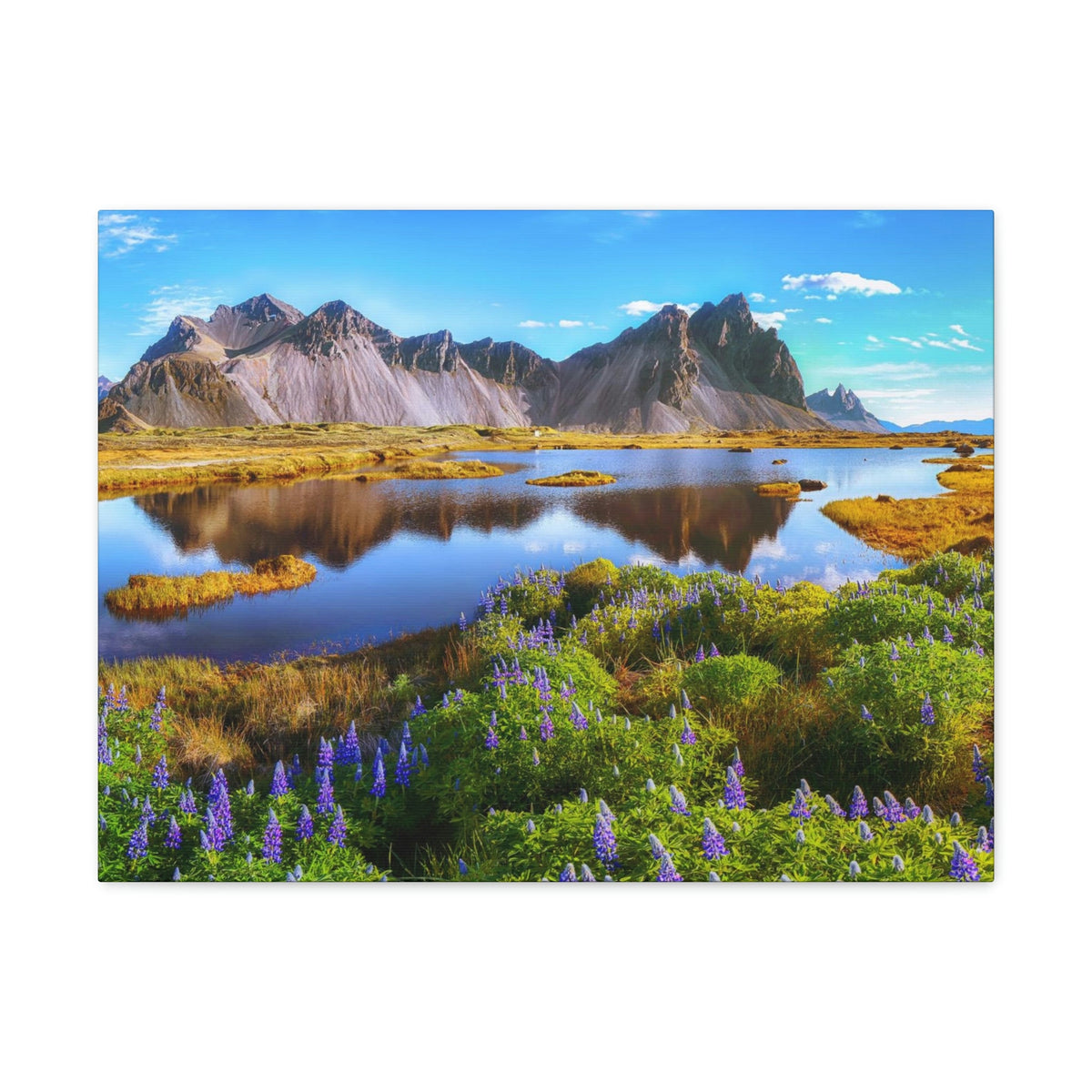 Beautiful Sunny Day Scene Beautiful And Lupine Flowers Beauty Nature Scene Stunning Wild Wall Art Ready to Hang Unframed-Express Your Love Gifts