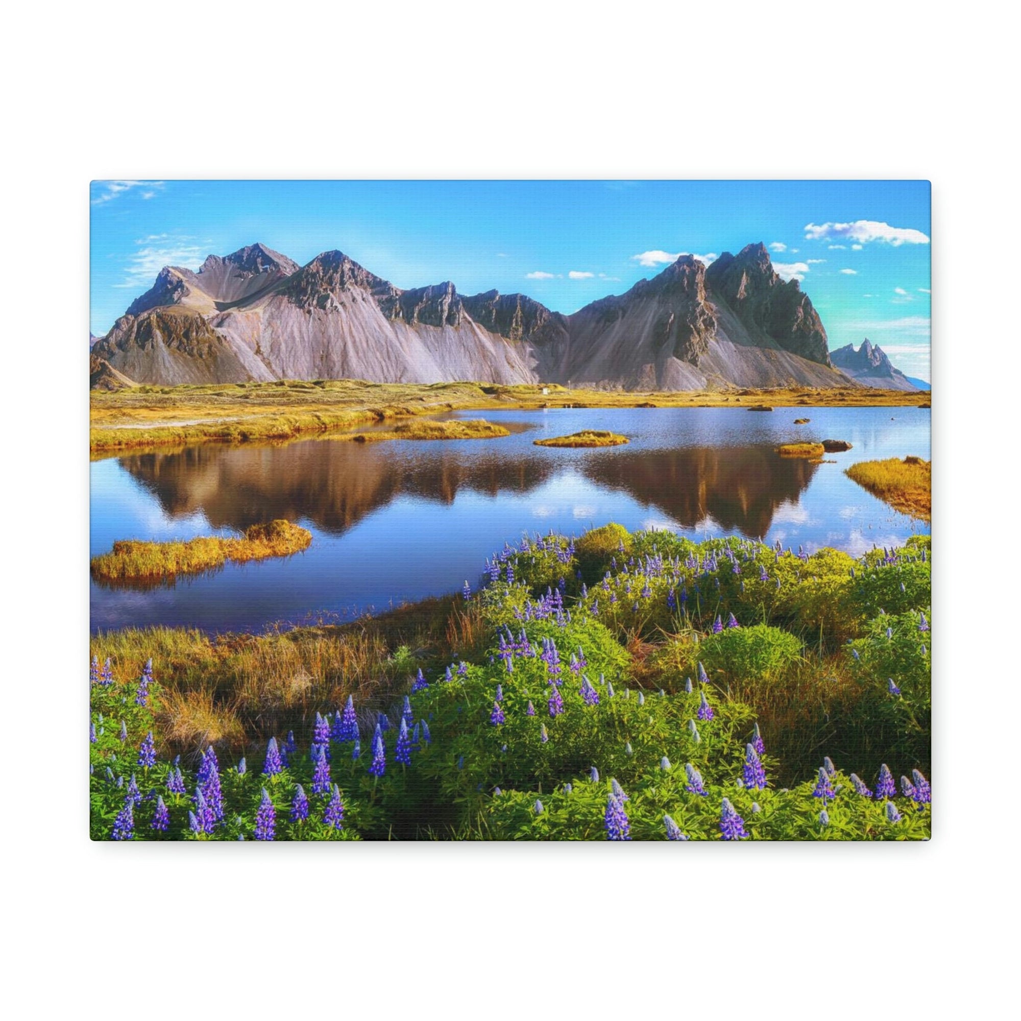 Beautiful Sunny Day Scene Beautiful And Lupine Flowers Beauty Nature Scene Stunning Wild Wall Art Ready to Hang Unframed-Express Your Love Gifts