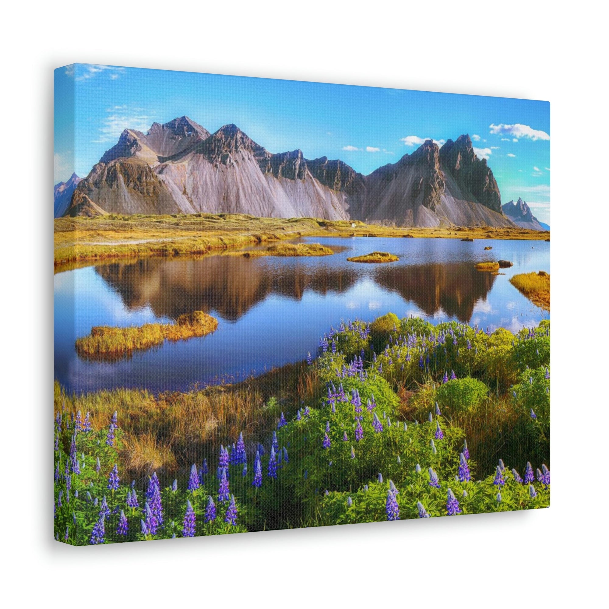 Beautiful Sunny Day Scene Beautiful And Lupine Flowers Beauty Nature Scene Stunning Wild Wall Art Ready to Hang Unframed-Express Your Love Gifts