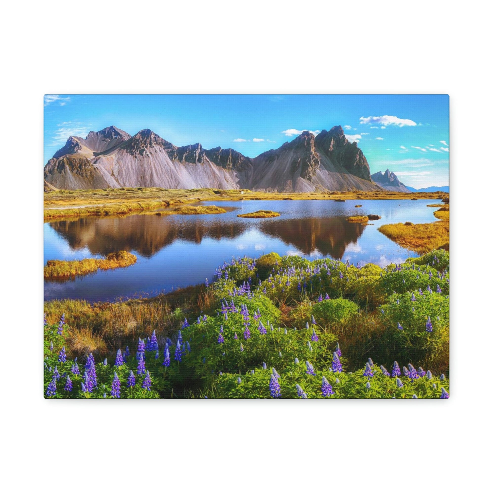 Beautiful Sunny Day Scene Beautiful And Lupine Flowers Beauty Nature Scene Stunning Wild Wall Art Ready to Hang Unframed-Express Your Love Gifts