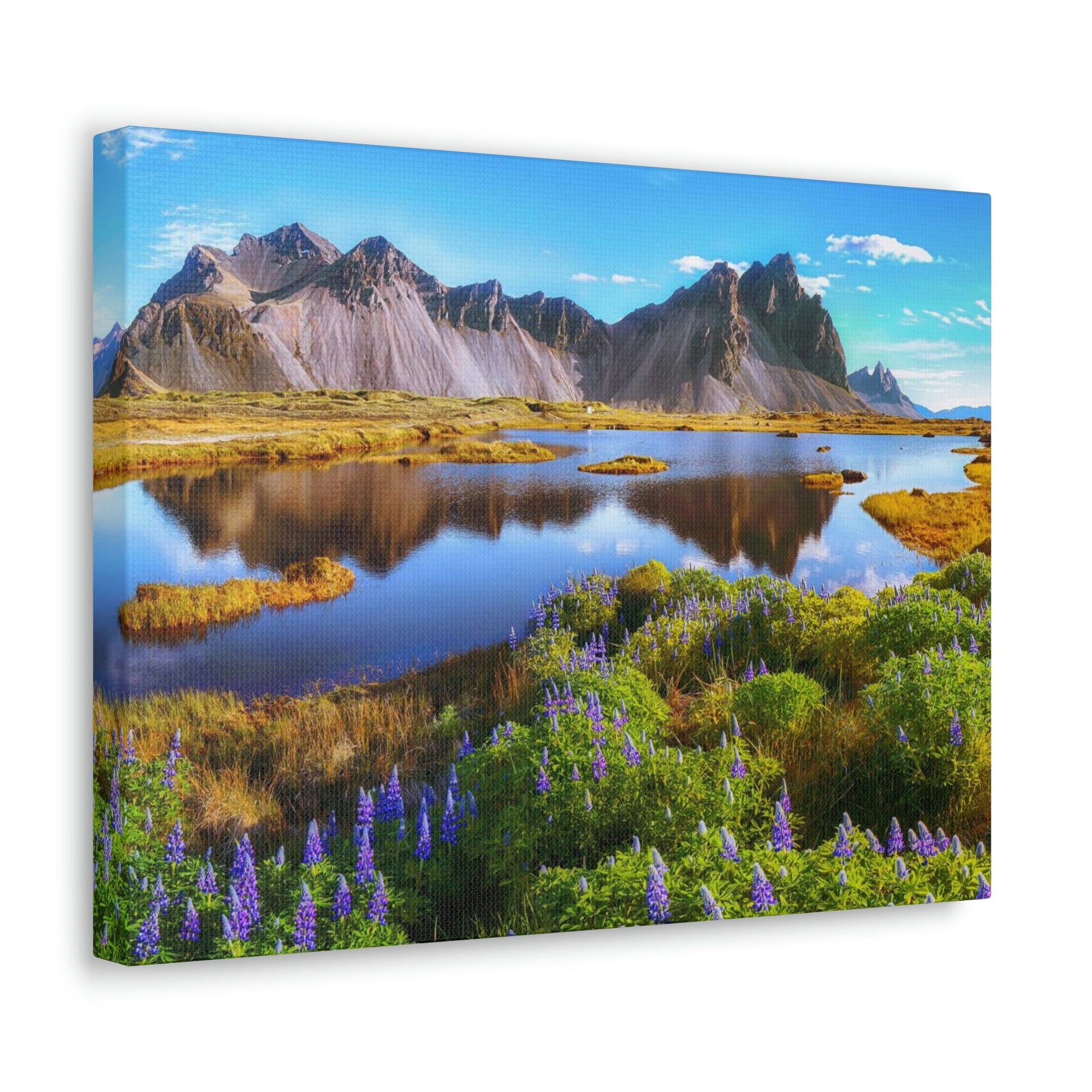 Beautiful Sunny Day Scene Beautiful And Lupine Flowers Beauty Nature Scene Stunning Wild Wall Art Ready to Hang Unframed-Express Your Love Gifts