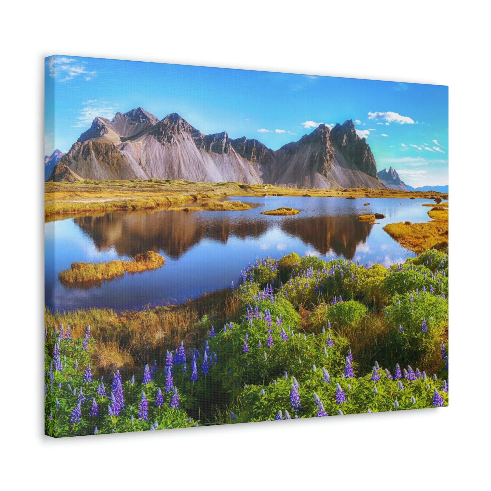 Beautiful Sunny Day Scene Beautiful And Lupine Flowers Beauty Nature Scene Stunning Wild Wall Art Ready to Hang Unframed-Express Your Love Gifts