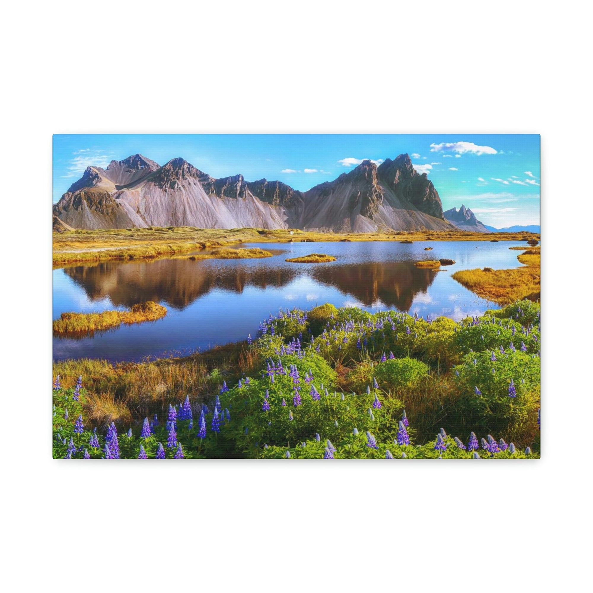 Beautiful Sunny Day Scene Beautiful And Lupine Flowers Beauty Nature Scene Stunning Wild Wall Art Ready to Hang Unframed-Express Your Love Gifts