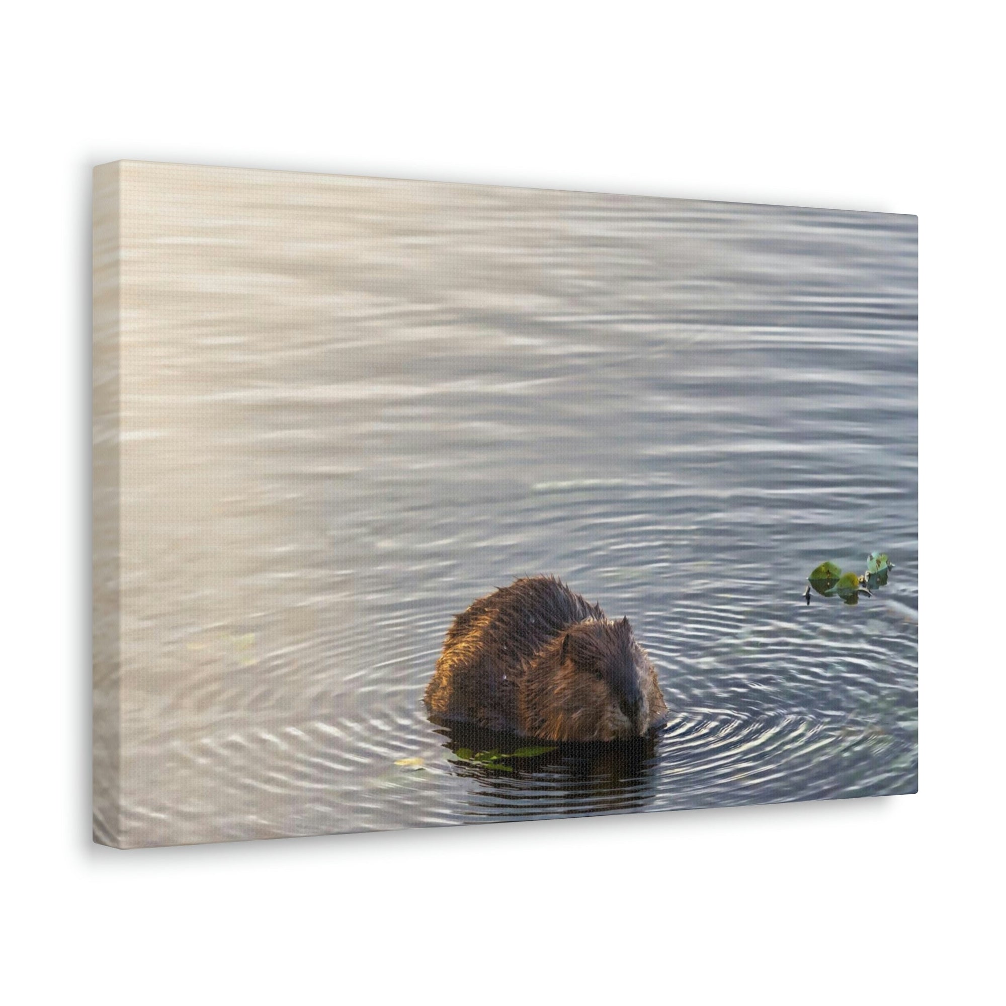 Scripture Walls Beaver Hunting Beaver on Hunt Print Animal Wall Art Wildlife Canvas Prints Wall Art Ready to Hang Unframed-Express Your Love Gifts