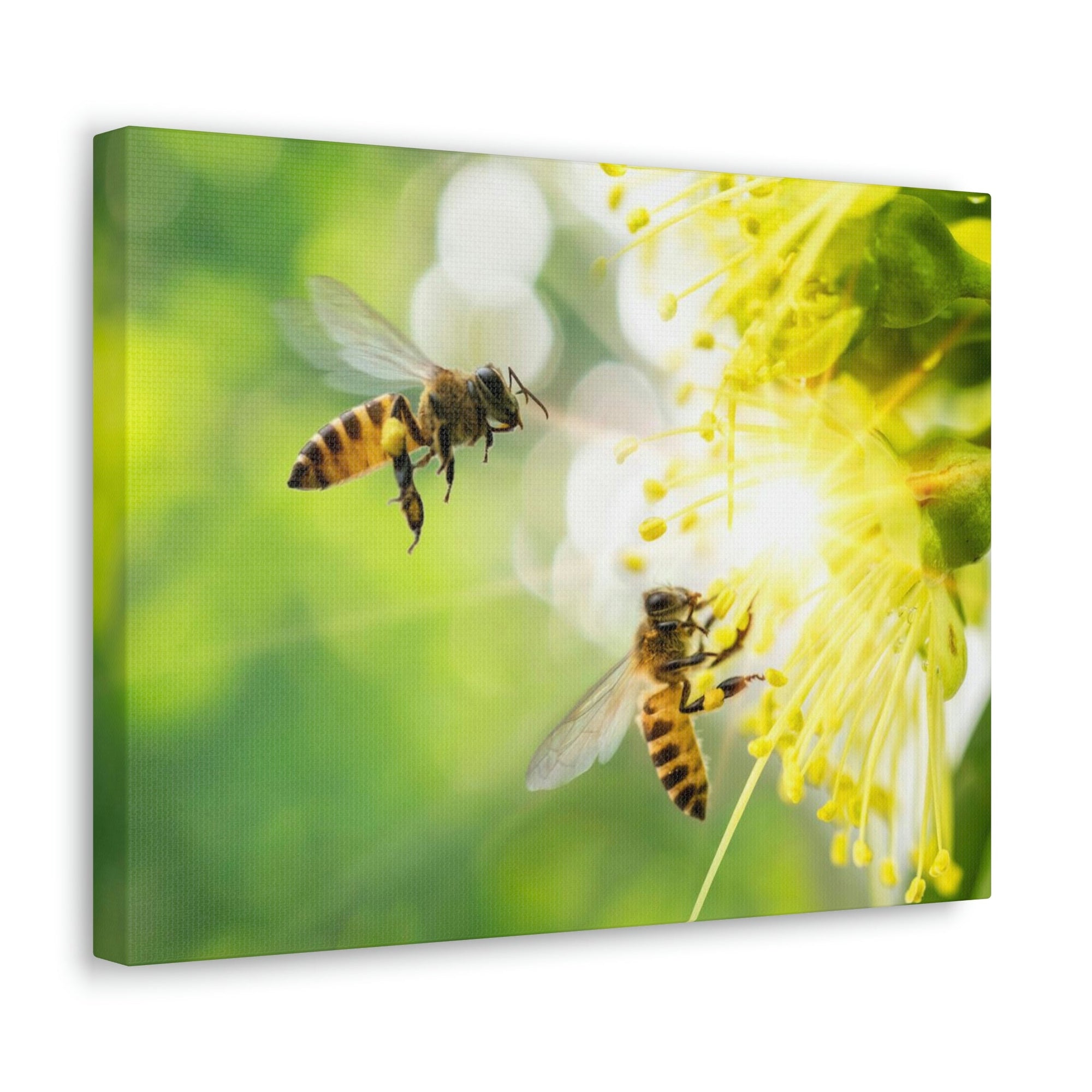 Scripture Walls Bee Couple Bee Troop Print Animal Wall Art Wildlife Canvas Prints Wall Art Ready to Hang Unframed-Express Your Love Gifts