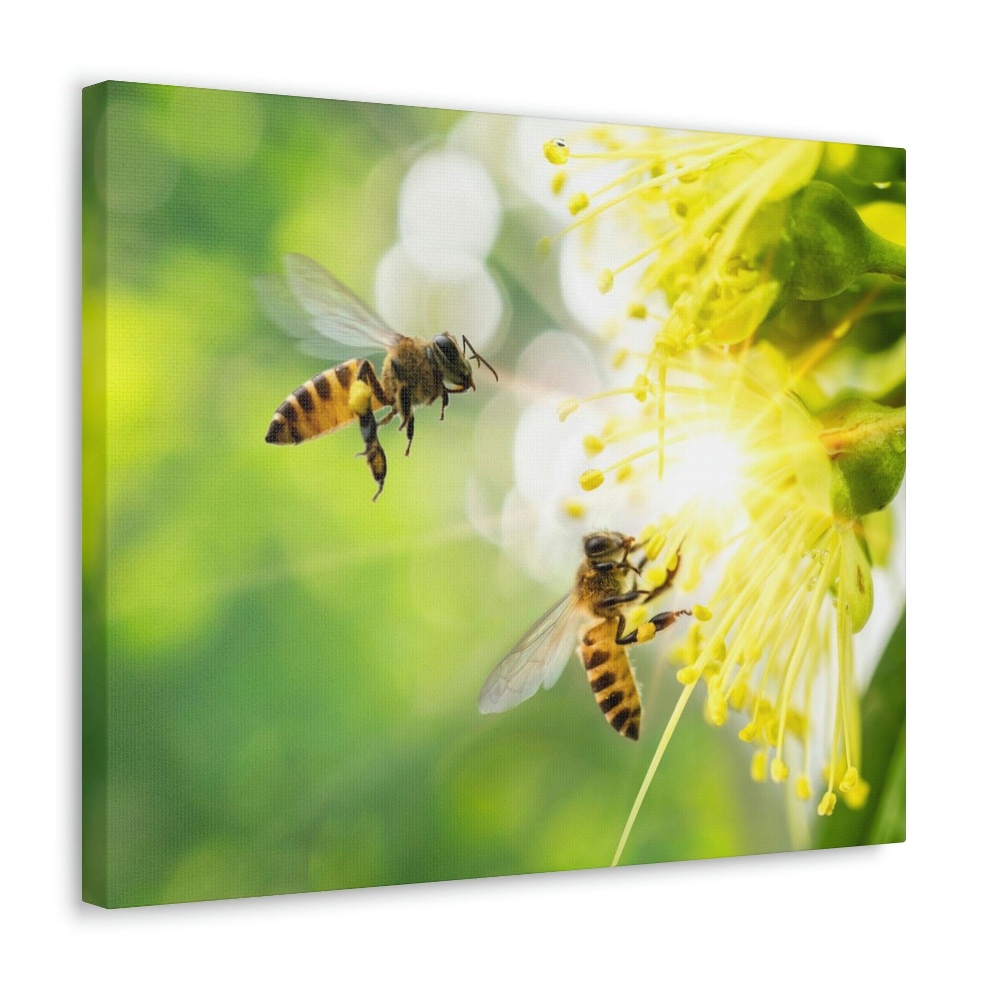 Scripture Walls Bee Couple Bee Troop Print Animal Wall Art Wildlife Canvas Prints Wall Art Ready to Hang Unframed-Express Your Love Gifts