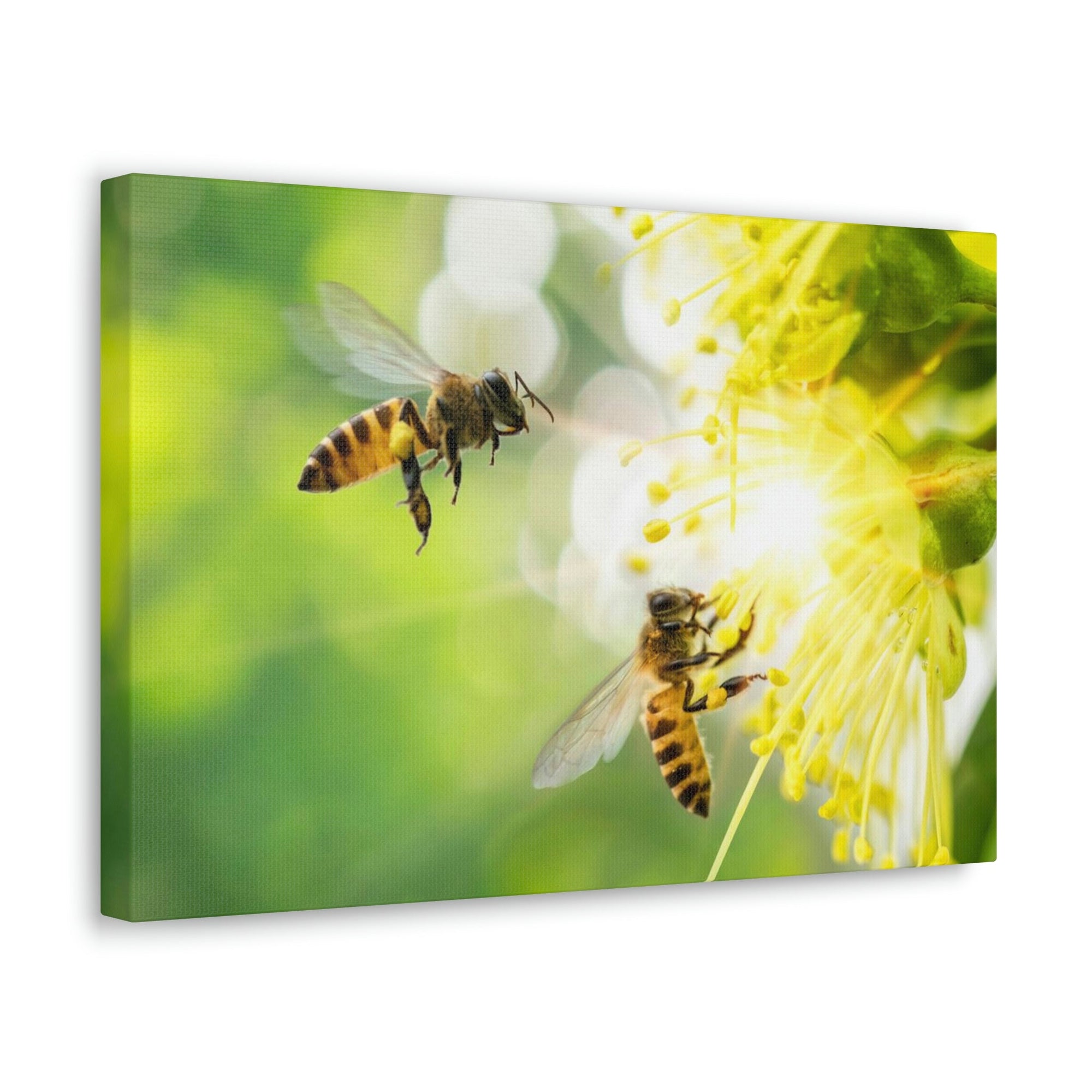 Scripture Walls Bee Couple Bee Troop Print Animal Wall Art Wildlife Canvas Prints Wall Art Ready to Hang Unframed-Express Your Love Gifts