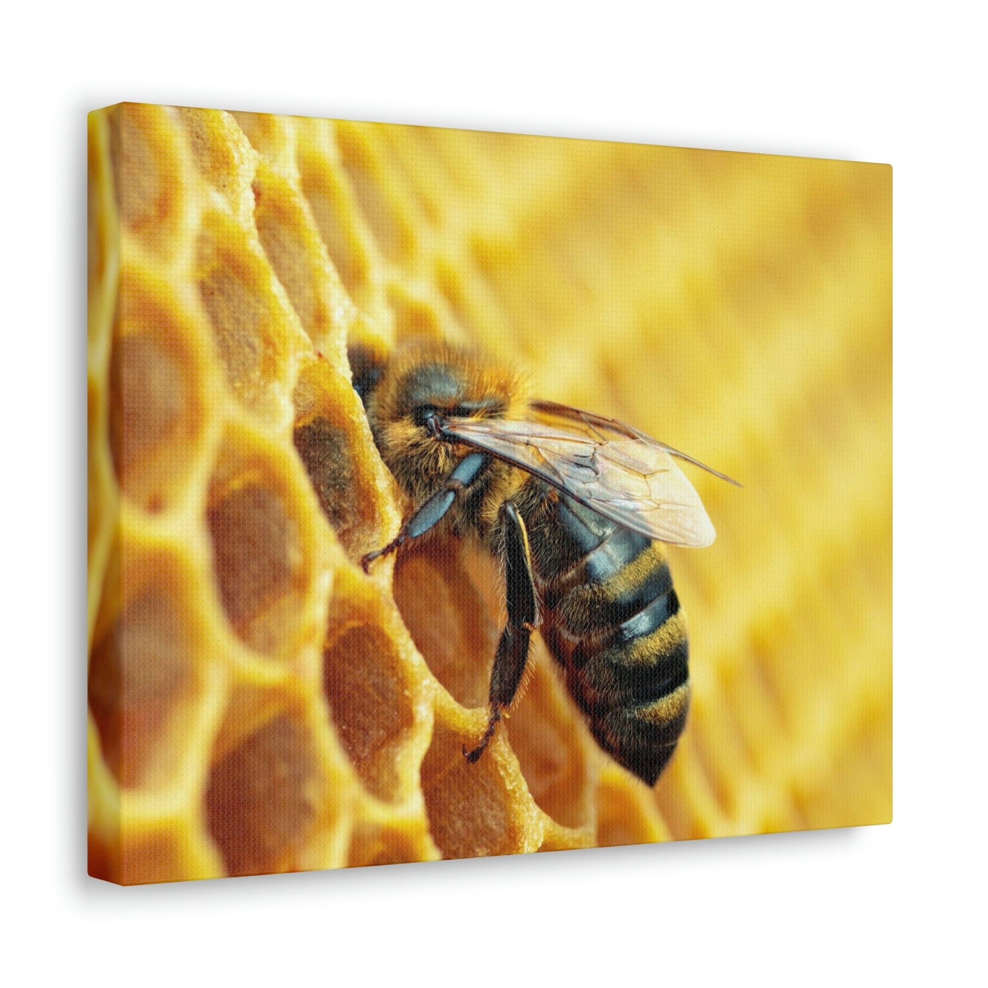 Scripture Walls Bee Hunting Bee on Hunt Print Animal Wall Art Wildlife Canvas Prints Wall Art Ready to Hang Unframed-Express Your Love Gifts